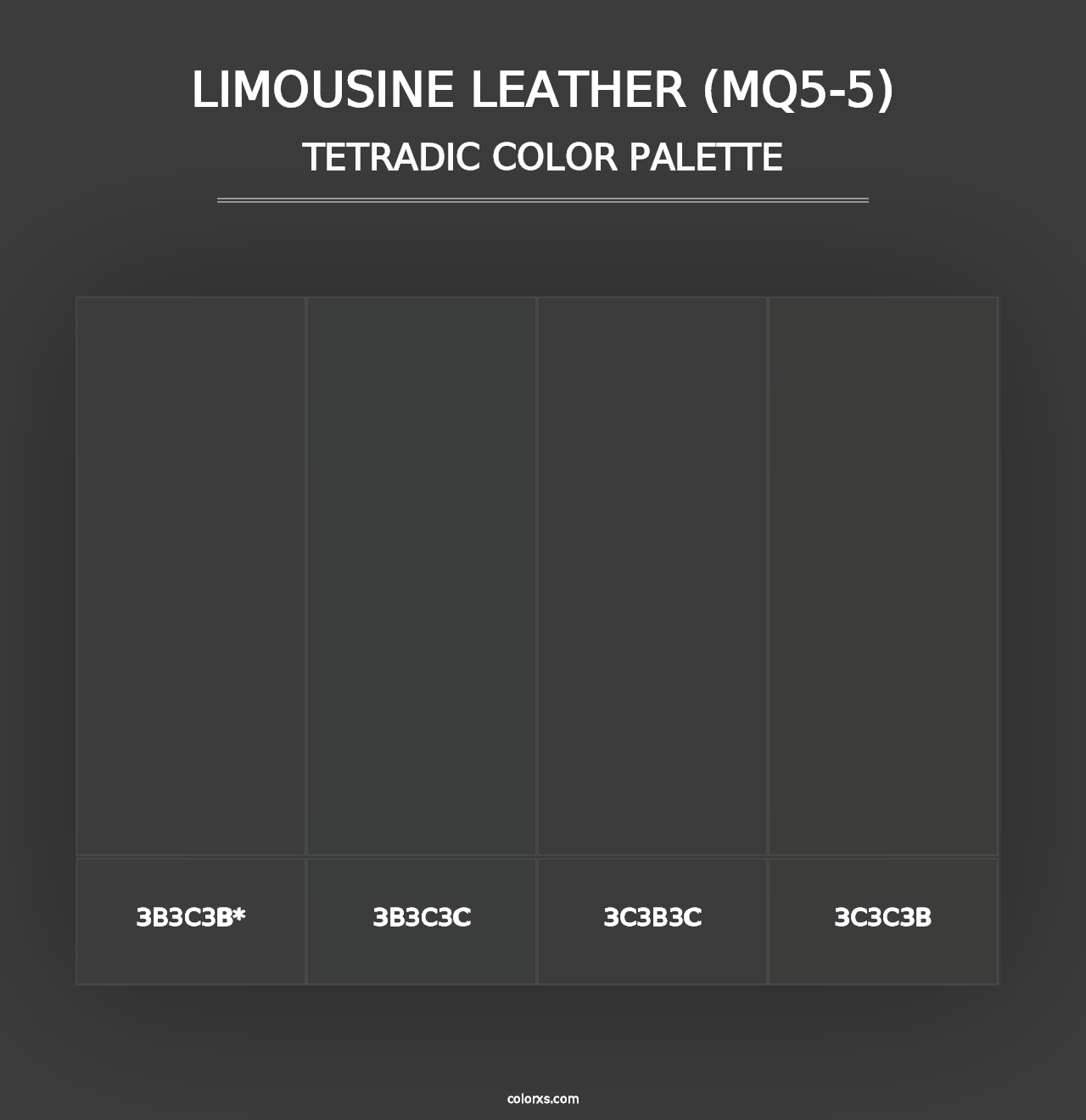 Limousine Leather (MQ5-5) - Tetradic Color Palette