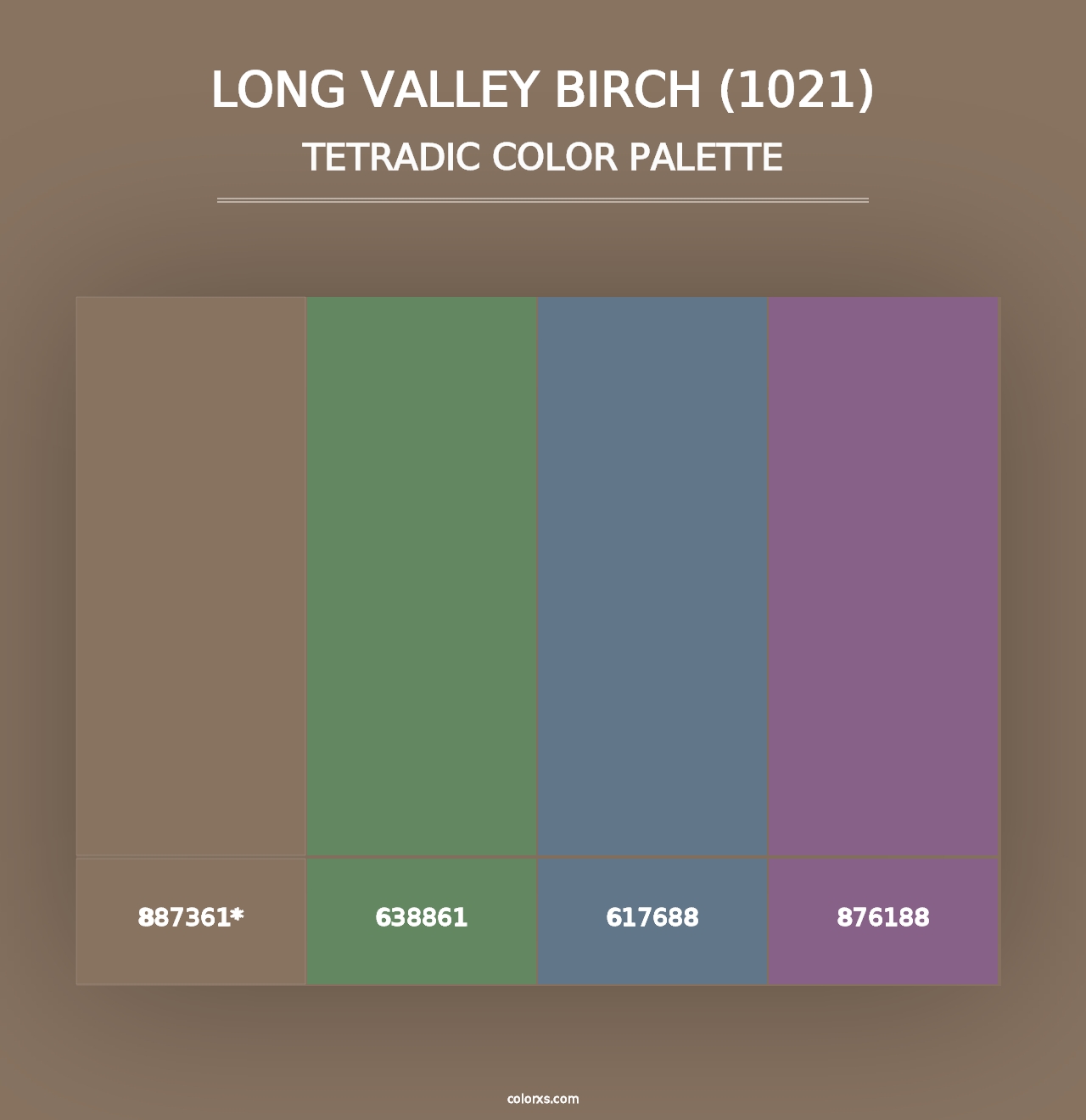 Long Valley Birch (1021) - Tetradic Color Palette