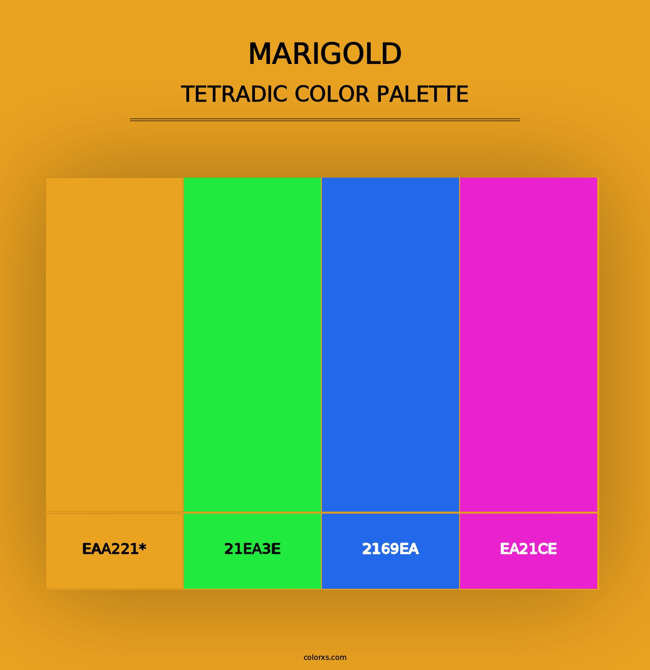 Marigold - Tetradic Color Palette