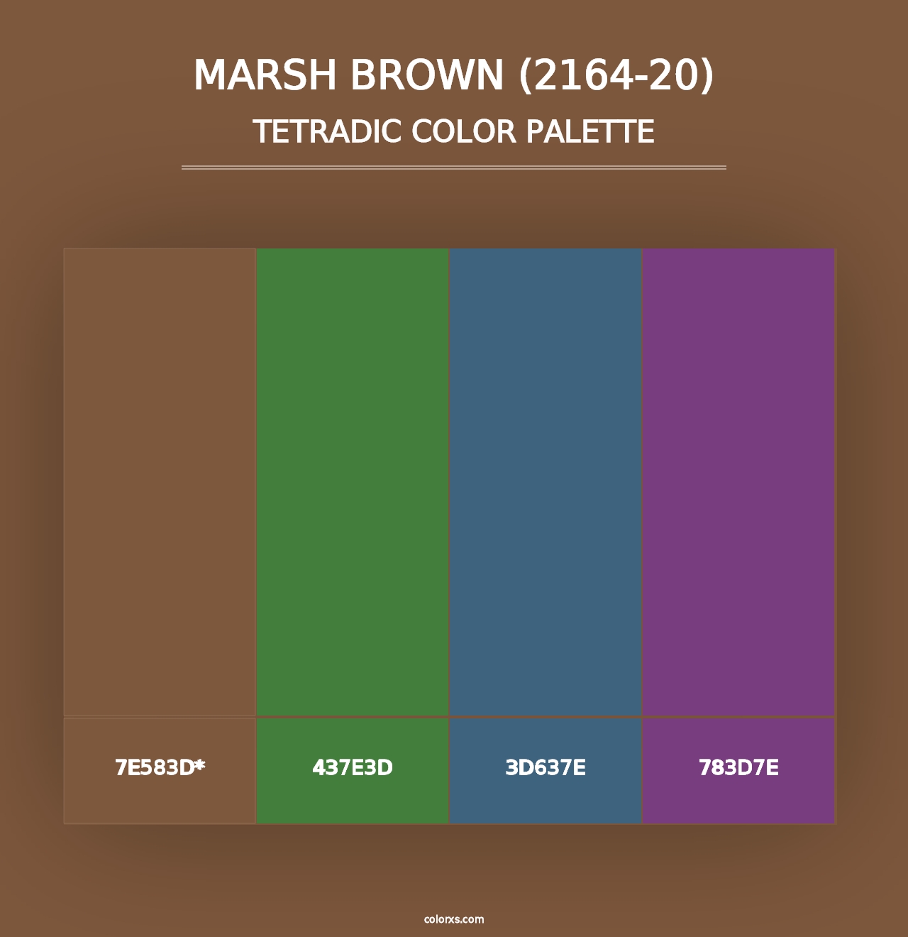 Marsh Brown (2164-20) - Tetradic Color Palette