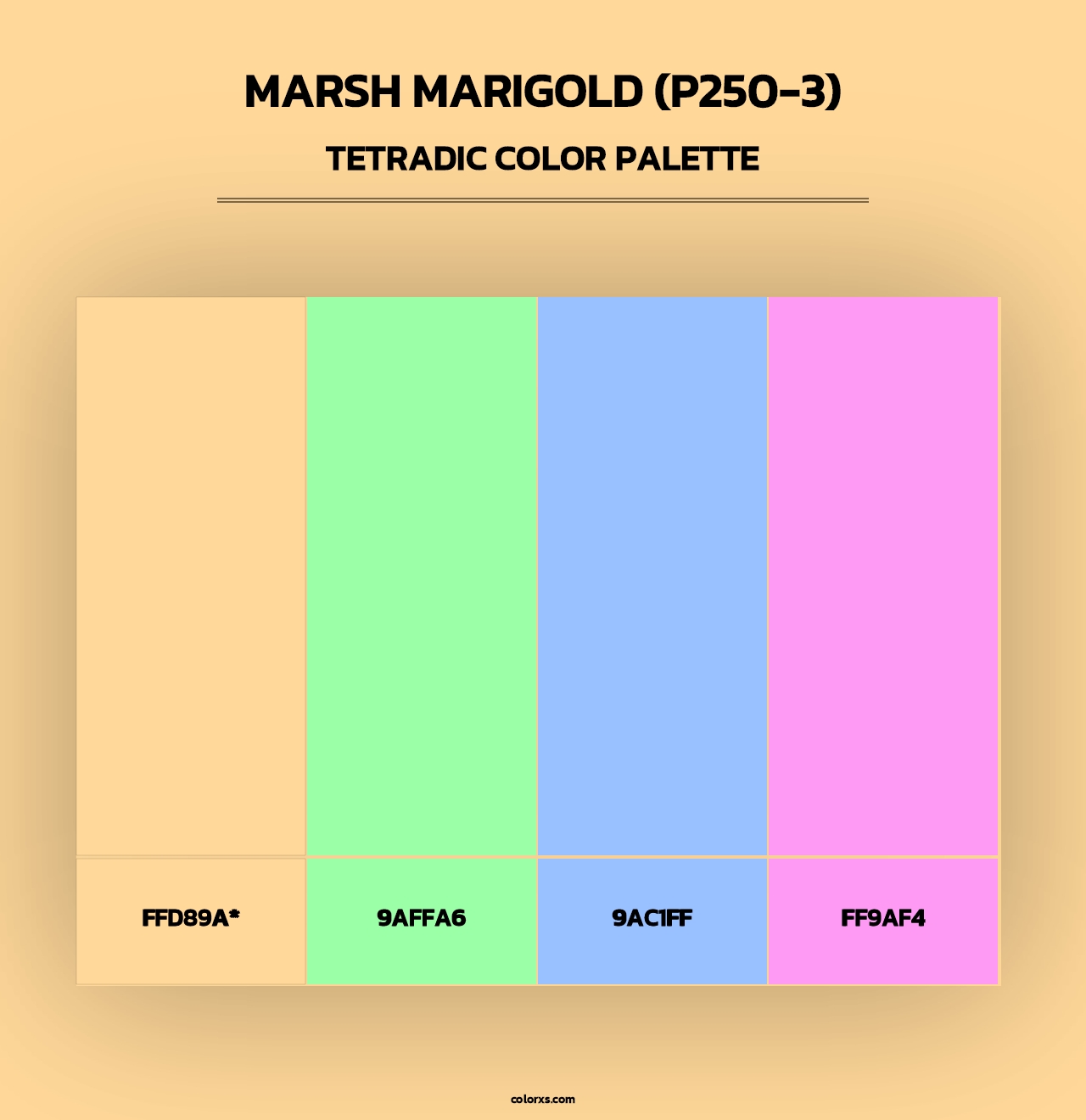 Marsh Marigold (P250-3) - Tetradic Color Palette