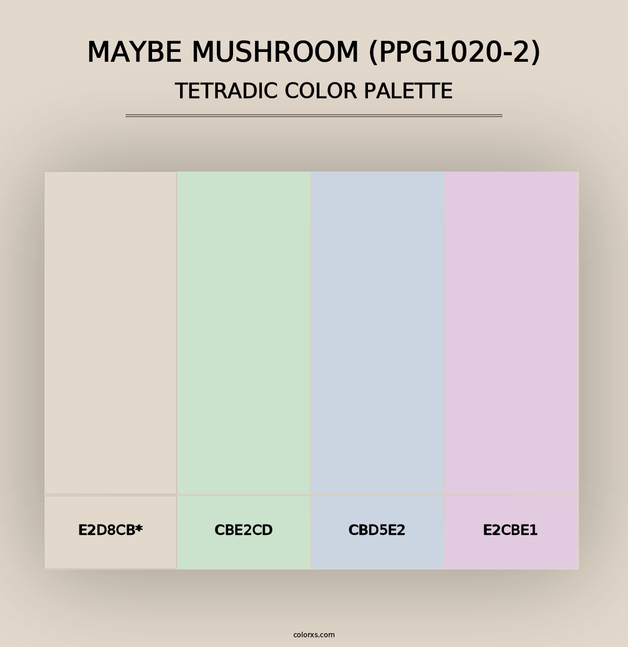 Maybe Mushroom (PPG1020-2) - Tetradic Color Palette