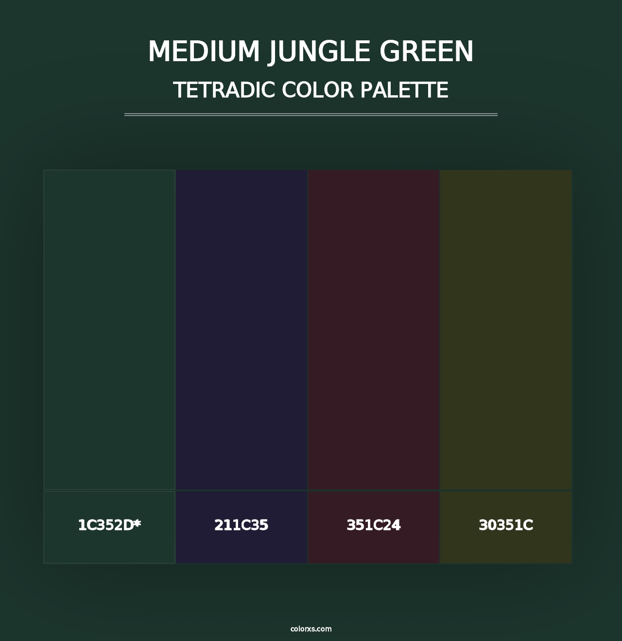 Medium Jungle Green - Tetradic Color Palette