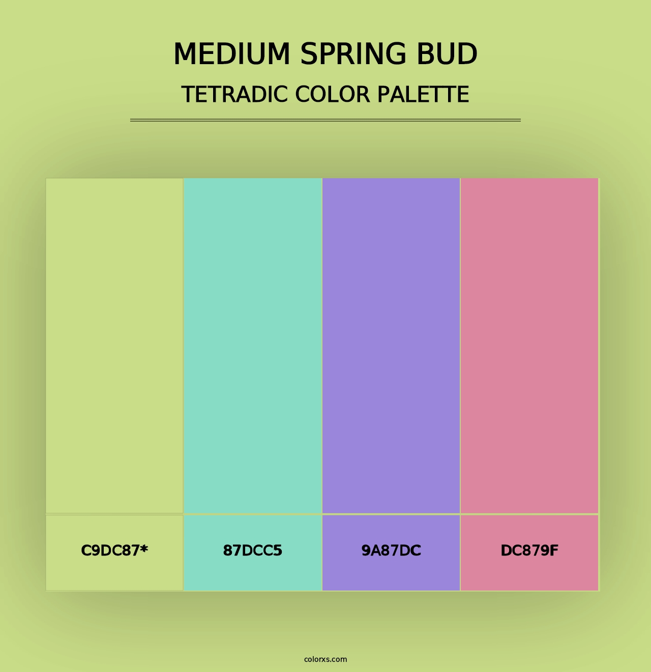 Medium Spring Bud - Tetradic Color Palette