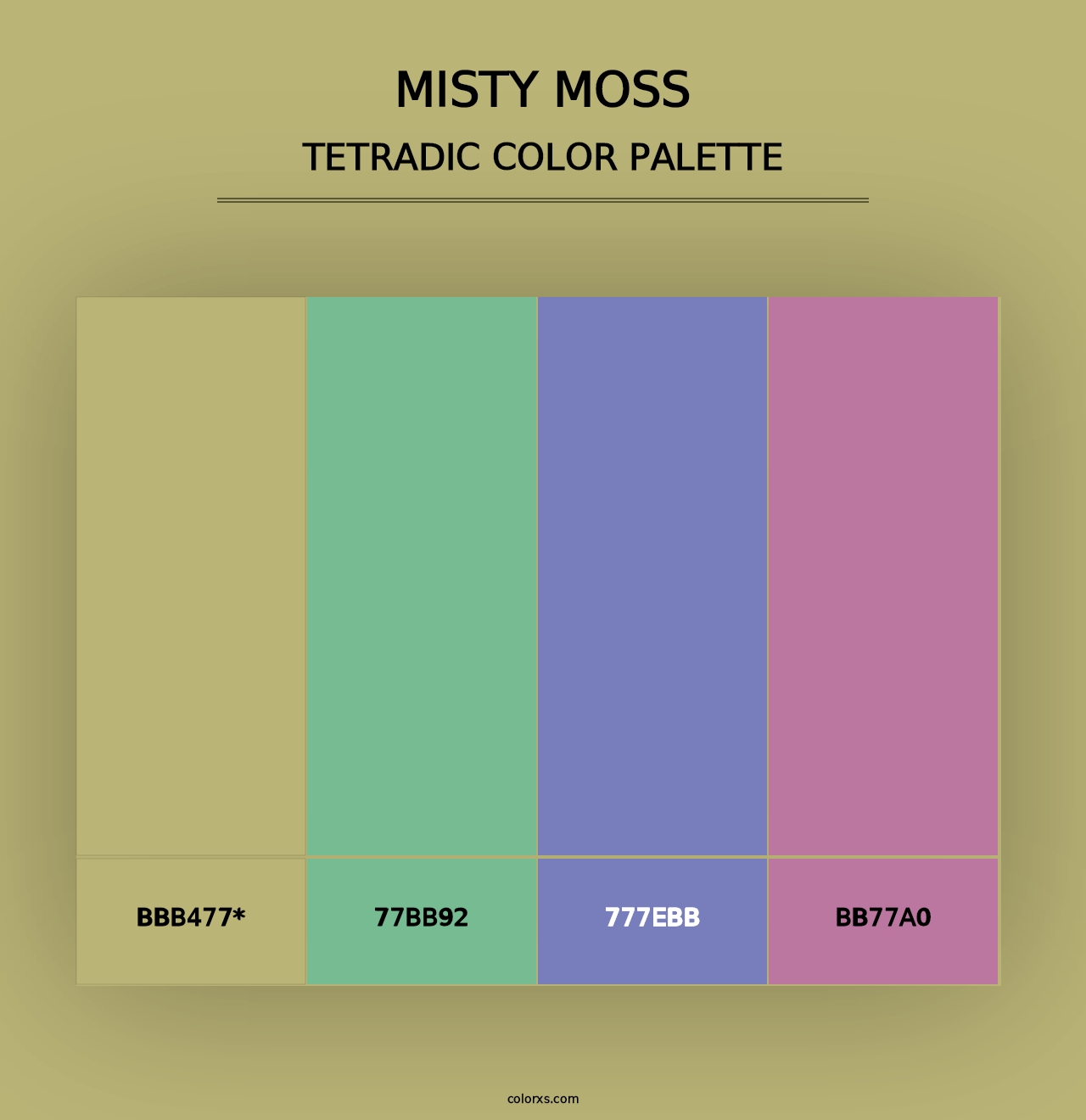 Misty Moss - Tetradic Color Palette