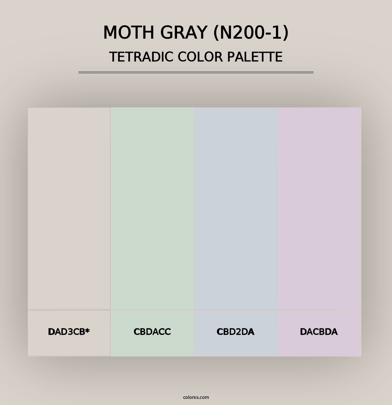 Moth Gray (N200-1) - Tetradic Color Palette