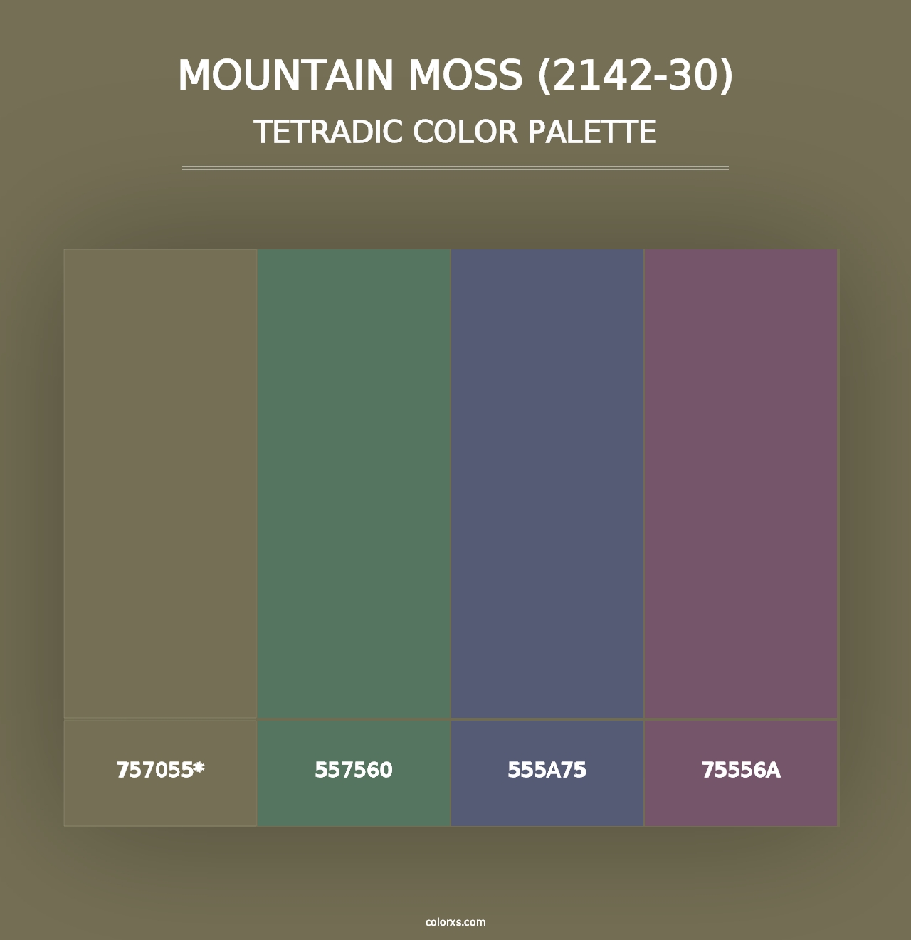 Mountain Moss (2142-30) - Tetradic Color Palette