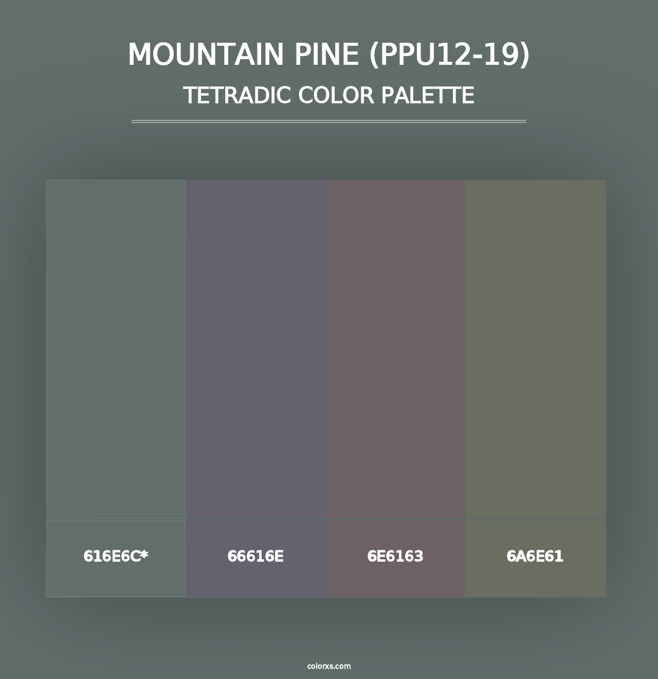 Mountain Pine (PPU12-19) - Tetradic Color Palette