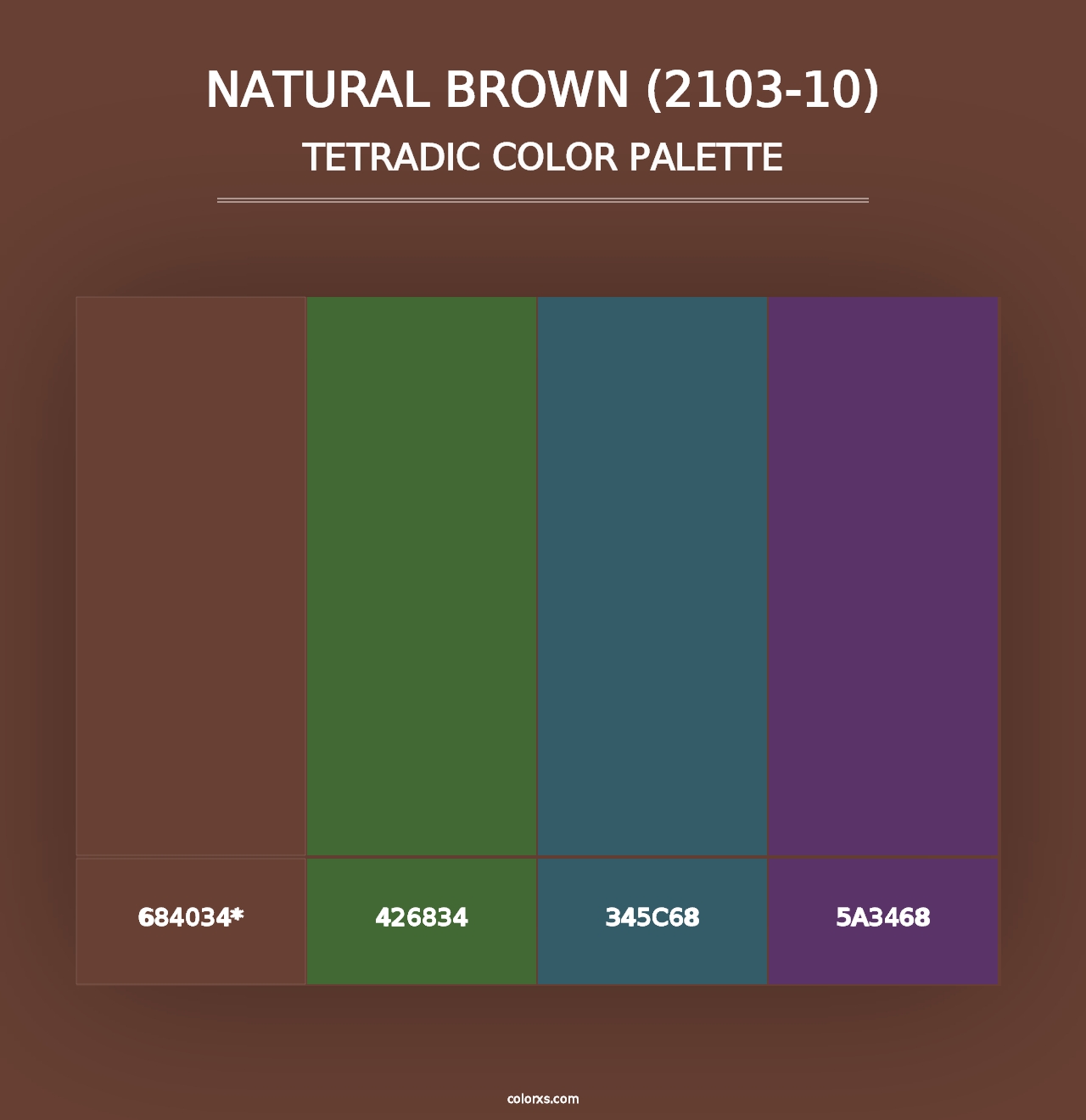 Natural Brown (2103-10) - Tetradic Color Palette