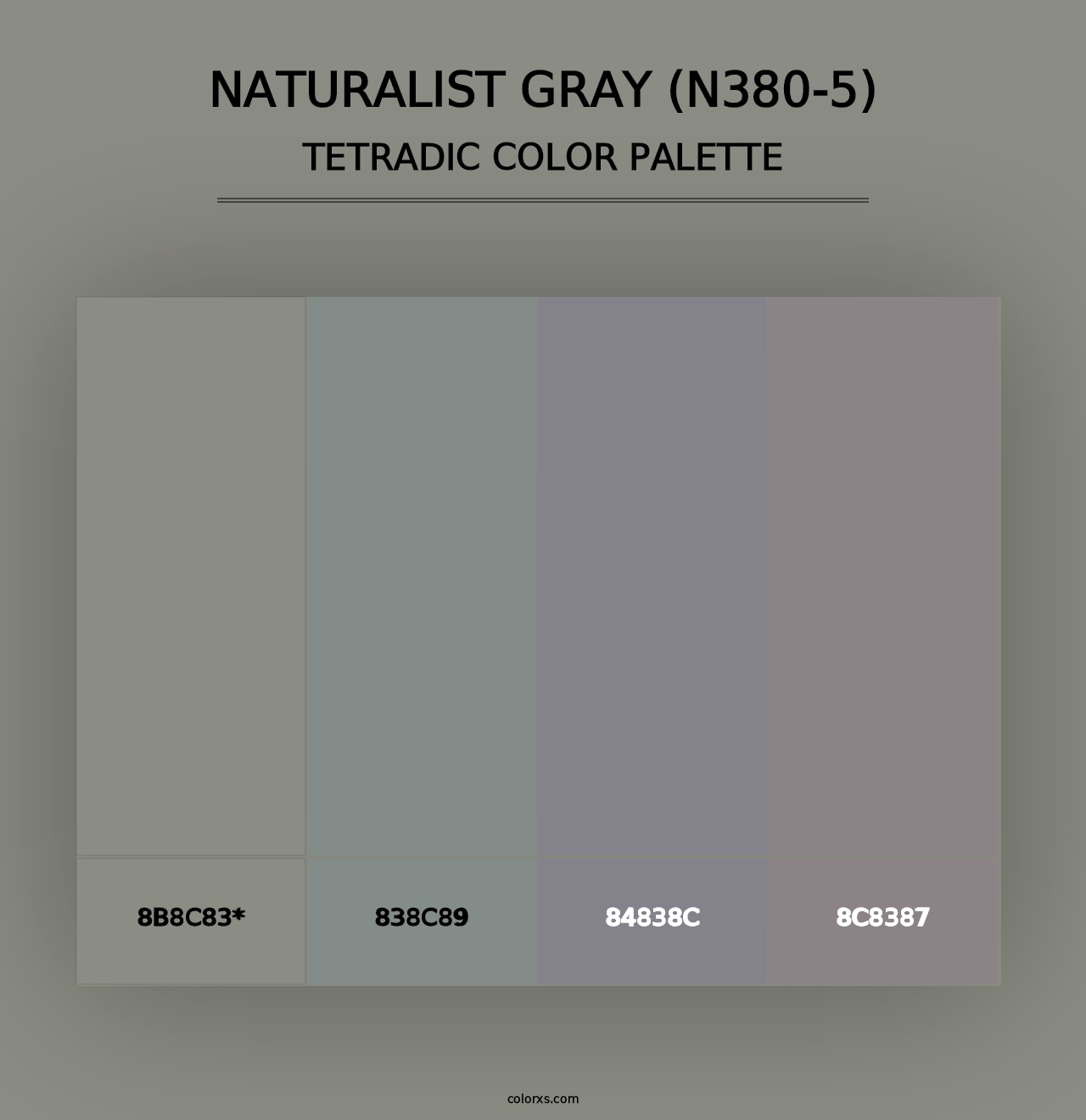 Naturalist Gray (N380-5) - Tetradic Color Palette