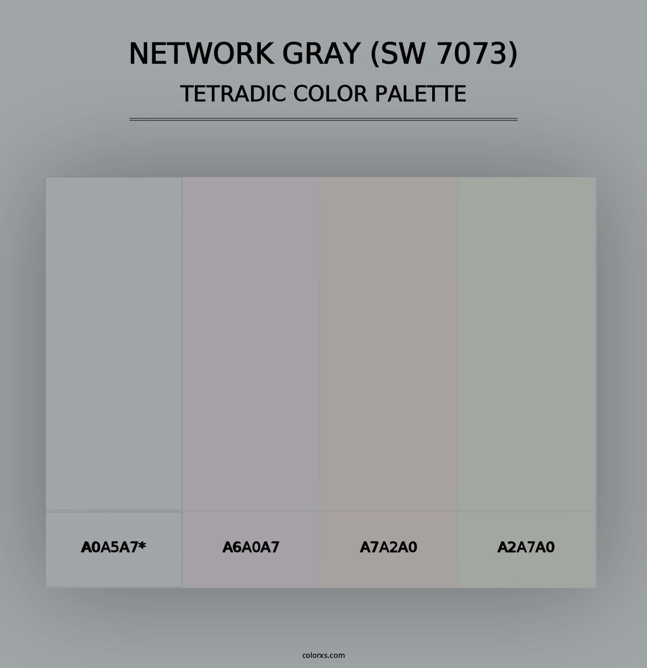 Network Gray (SW 7073) - Tetradic Color Palette