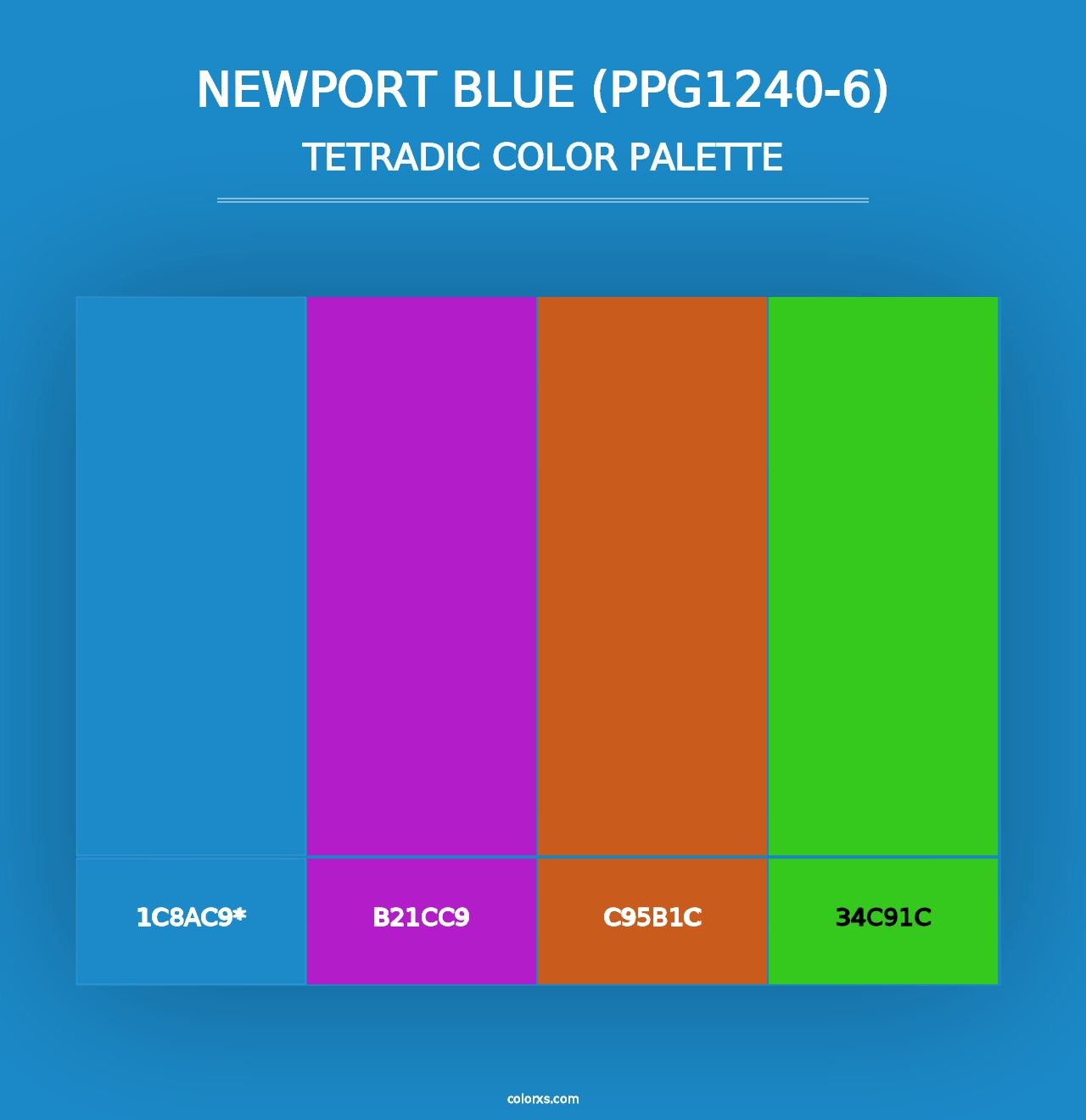 Newport Blue (PPG1240-6) - Tetradic Color Palette