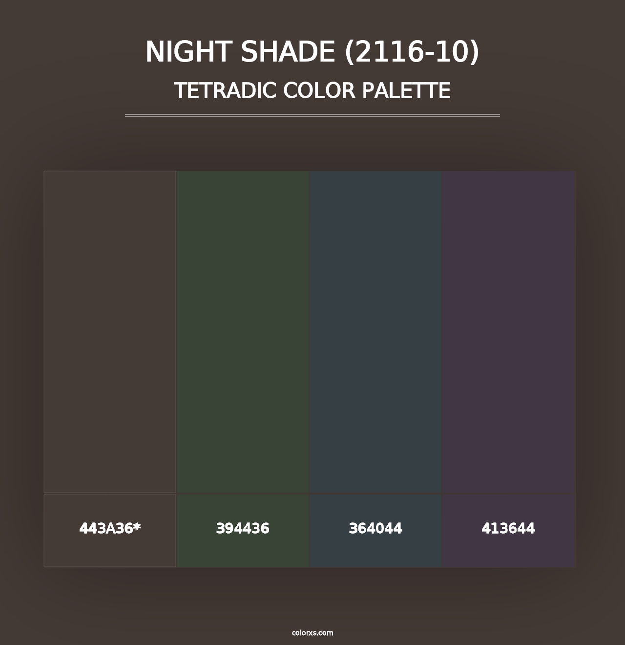 Night Shade (2116-10) - Tetradic Color Palette