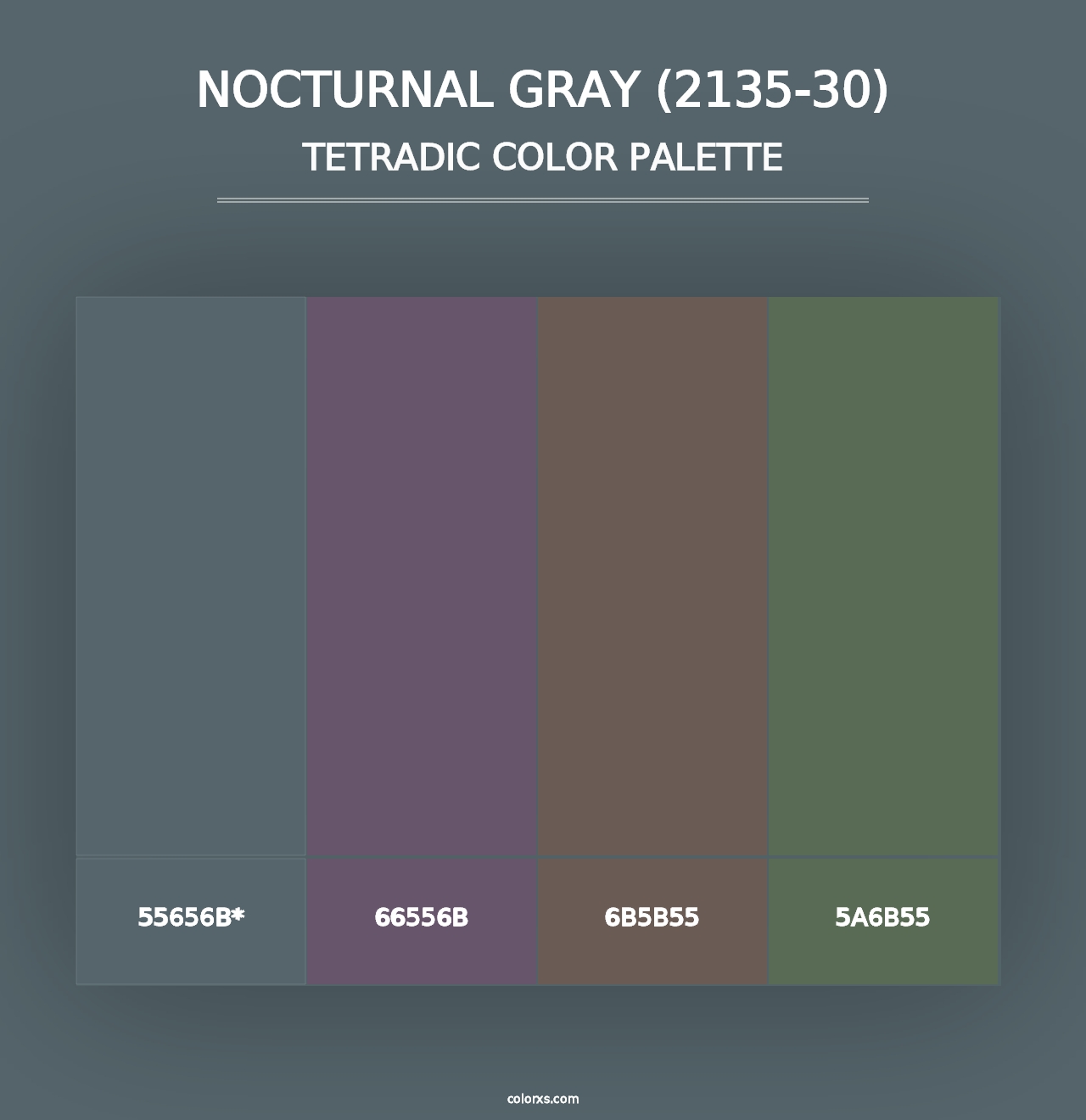 Nocturnal Gray (2135-30) - Tetradic Color Palette