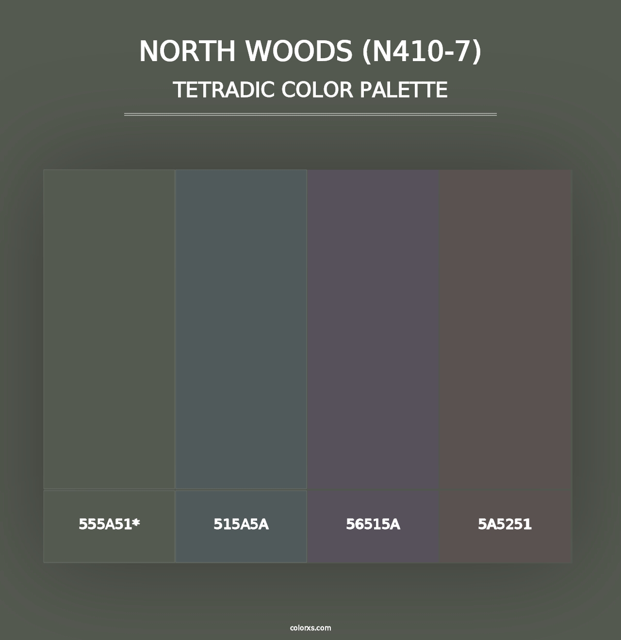 North Woods (N410-7) - Tetradic Color Palette