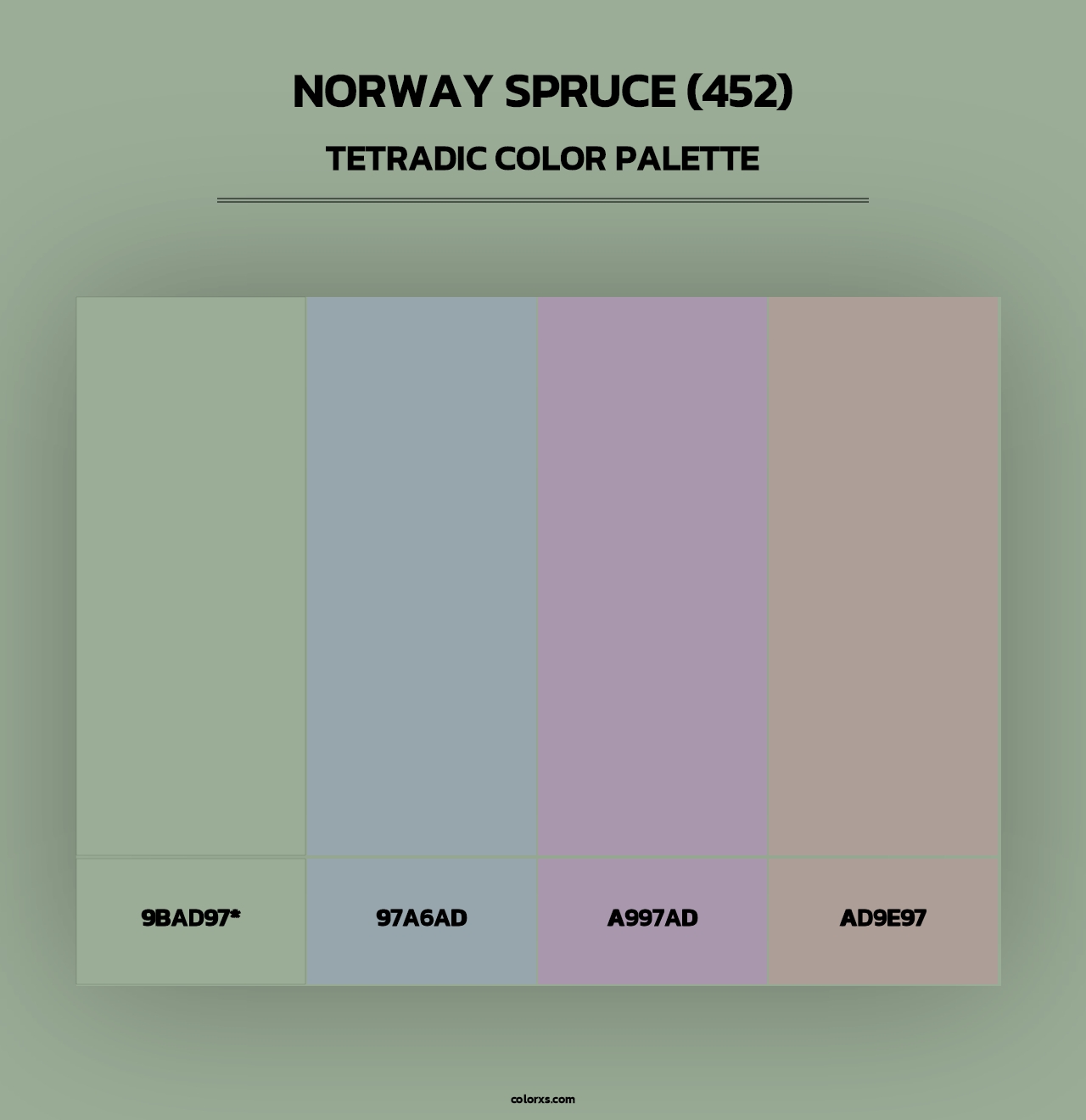 Norway Spruce (452) - Tetradic Color Palette