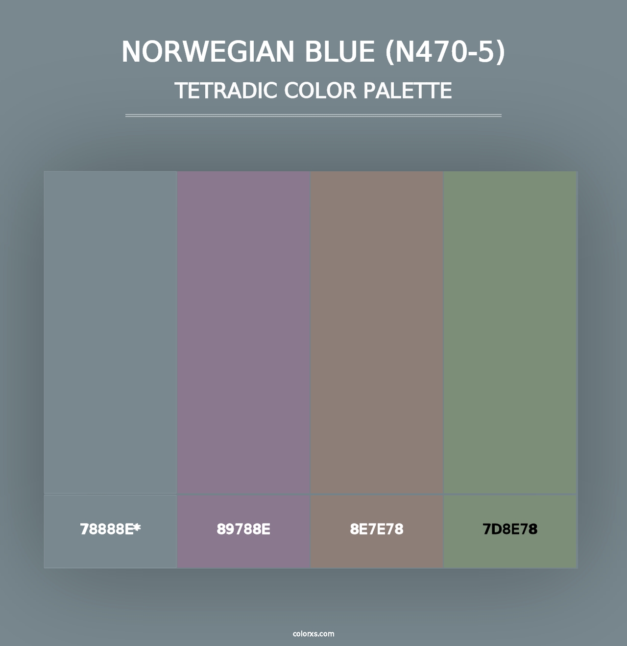 Norwegian Blue (N470-5) - Tetradic Color Palette