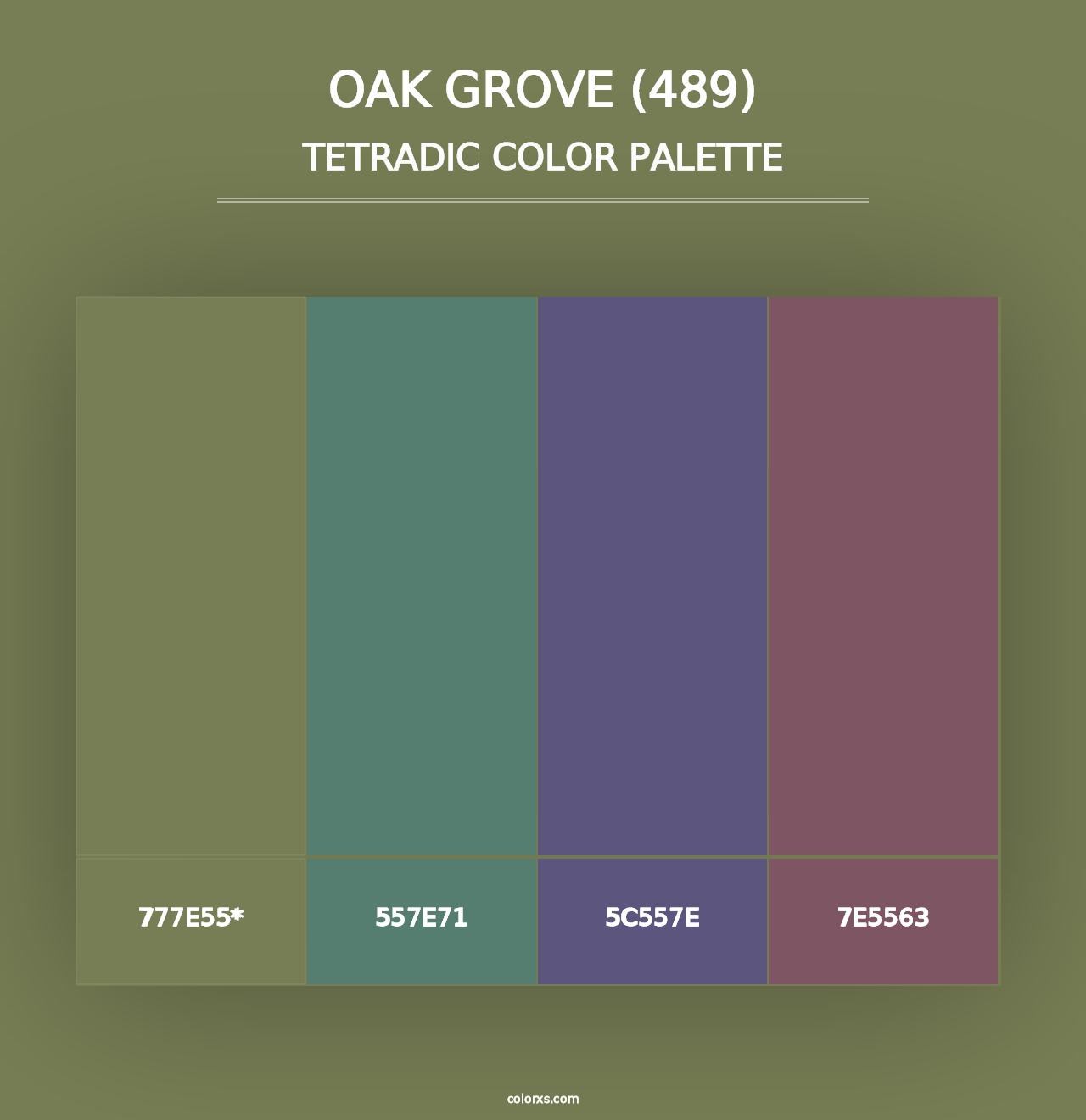 Oak Grove (489) - Tetradic Color Palette