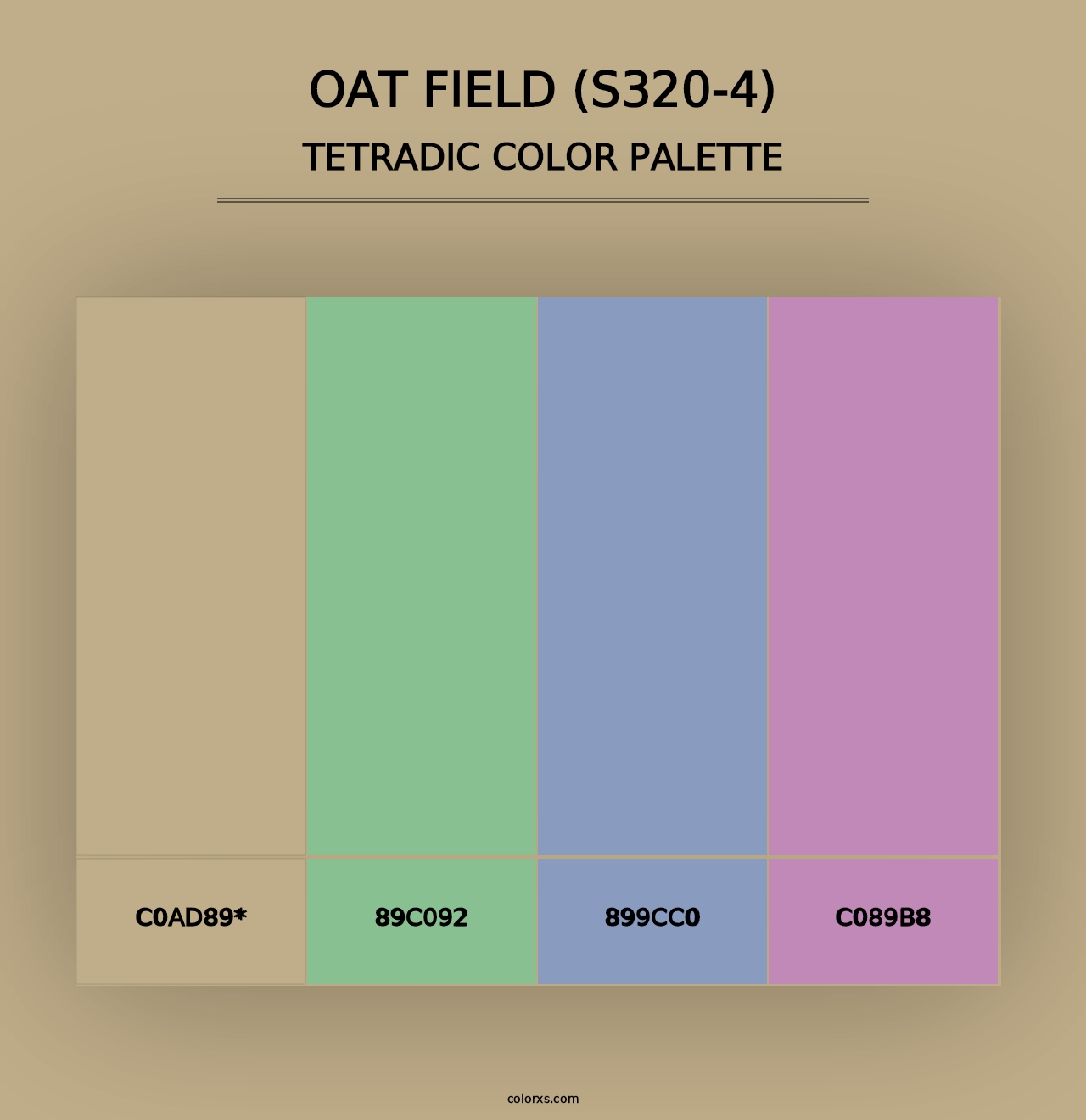 Oat Field (S320-4) - Tetradic Color Palette