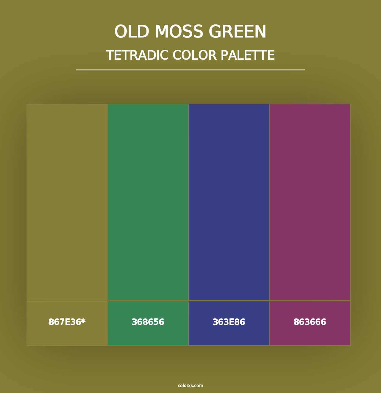 Old Moss Green - Tetradic Color Palette