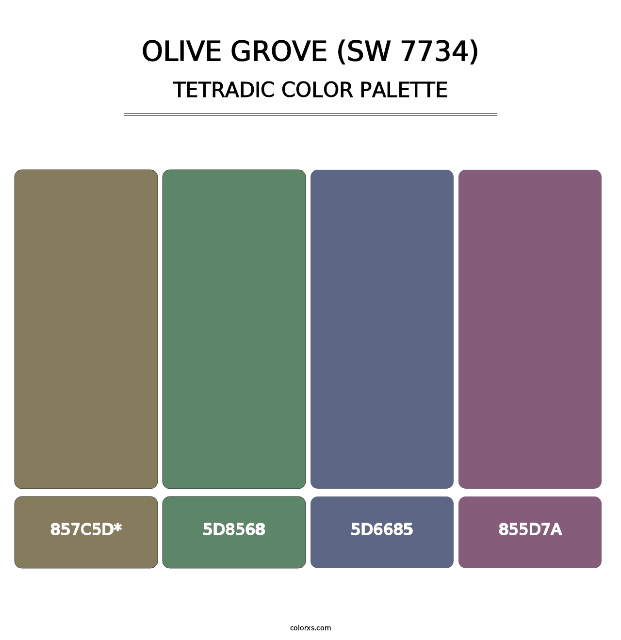 Olive Grove (SW 7734) - Tetradic Color Palette