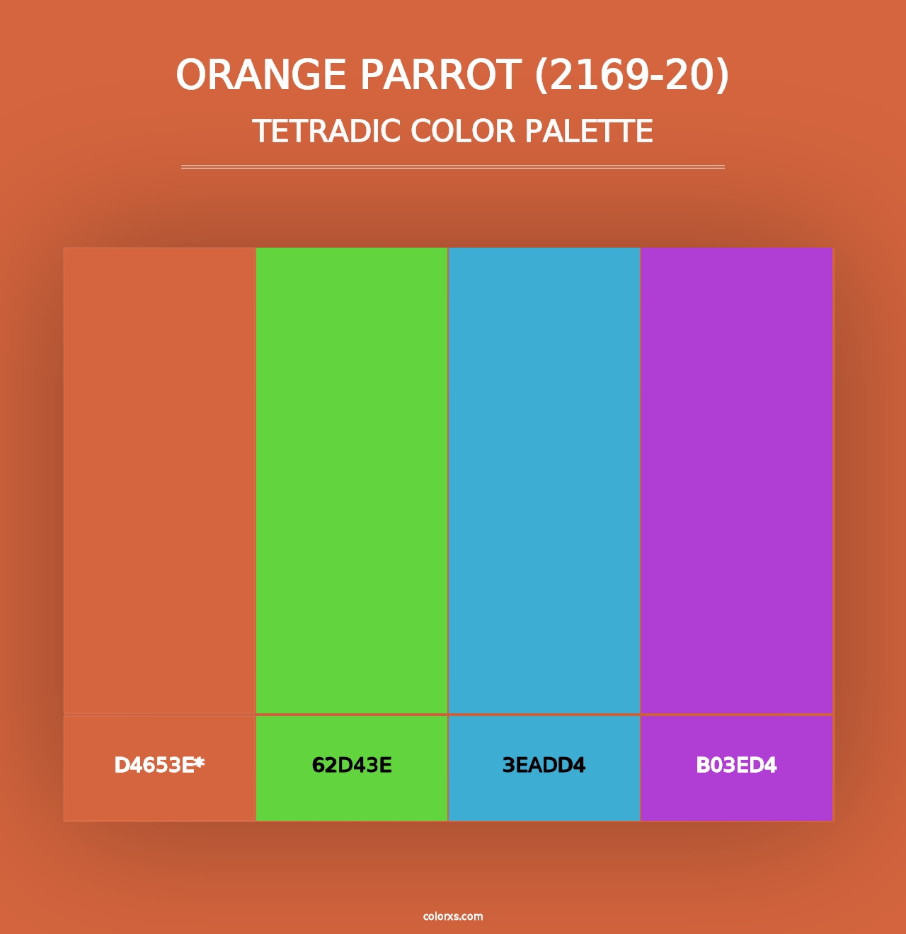 Orange Parrot (2169-20) - Tetradic Color Palette