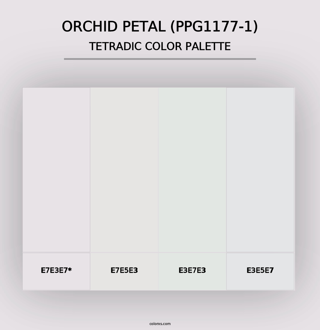 Orchid Petal (PPG1177-1) - Tetradic Color Palette