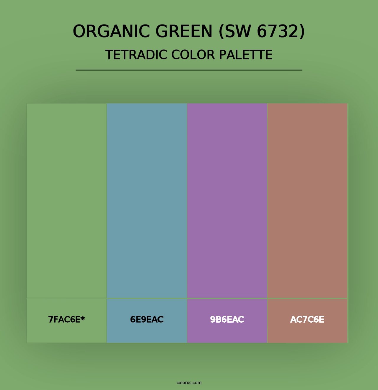 Organic Green (SW 6732) - Tetradic Color Palette