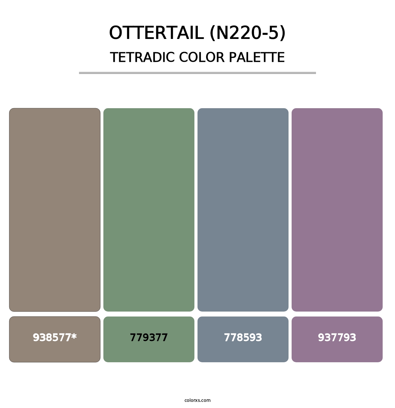 Ottertail (N220-5) - Tetradic Color Palette