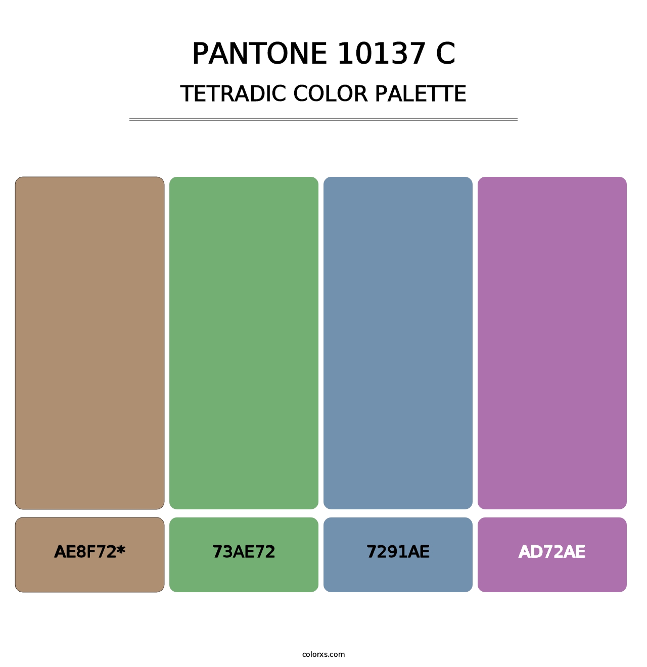 PANTONE 10137 C - Tetradic Color Palette