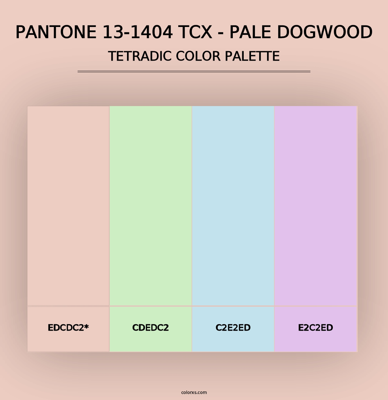 PANTONE 13-1404 TCX - Pale Dogwood - Tetradic Color Palette