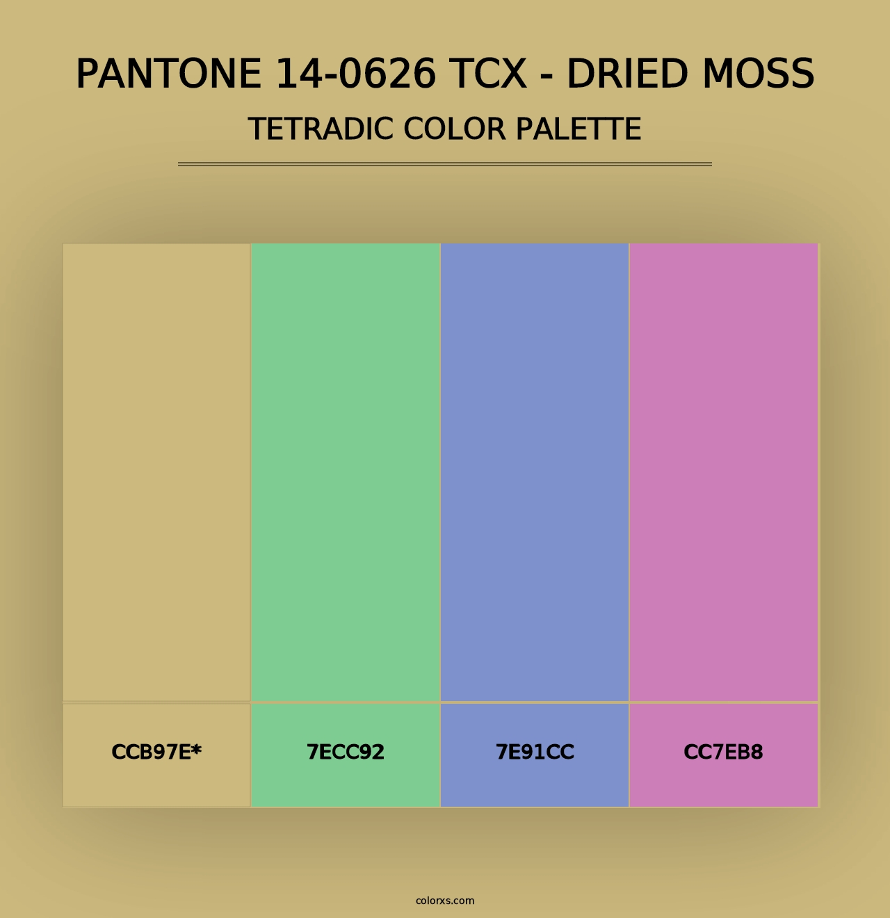 PANTONE 14-0626 TCX - Dried Moss - Tetradic Color Palette