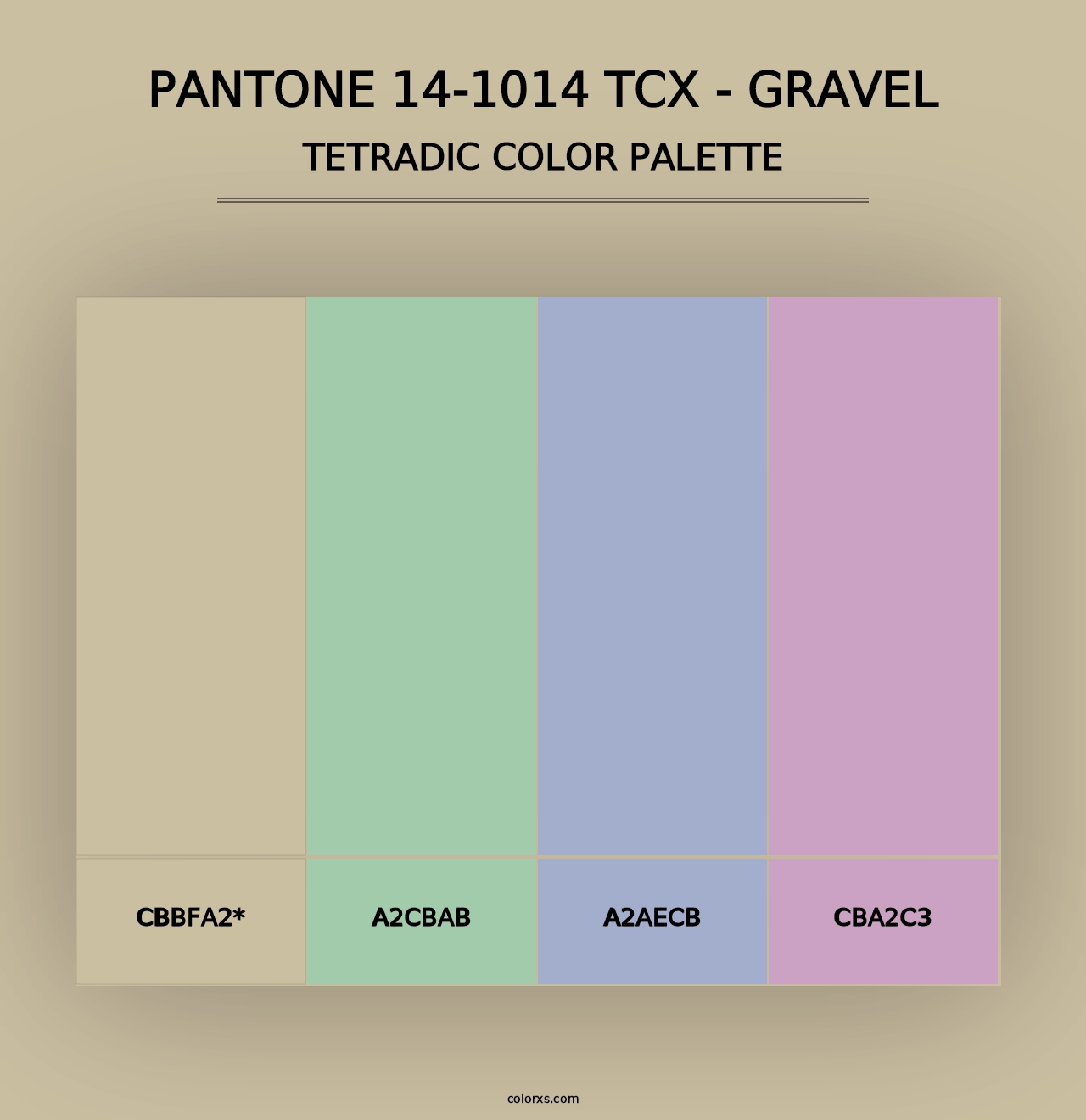 PANTONE 14-1014 TCX - Gravel - Tetradic Color Palette