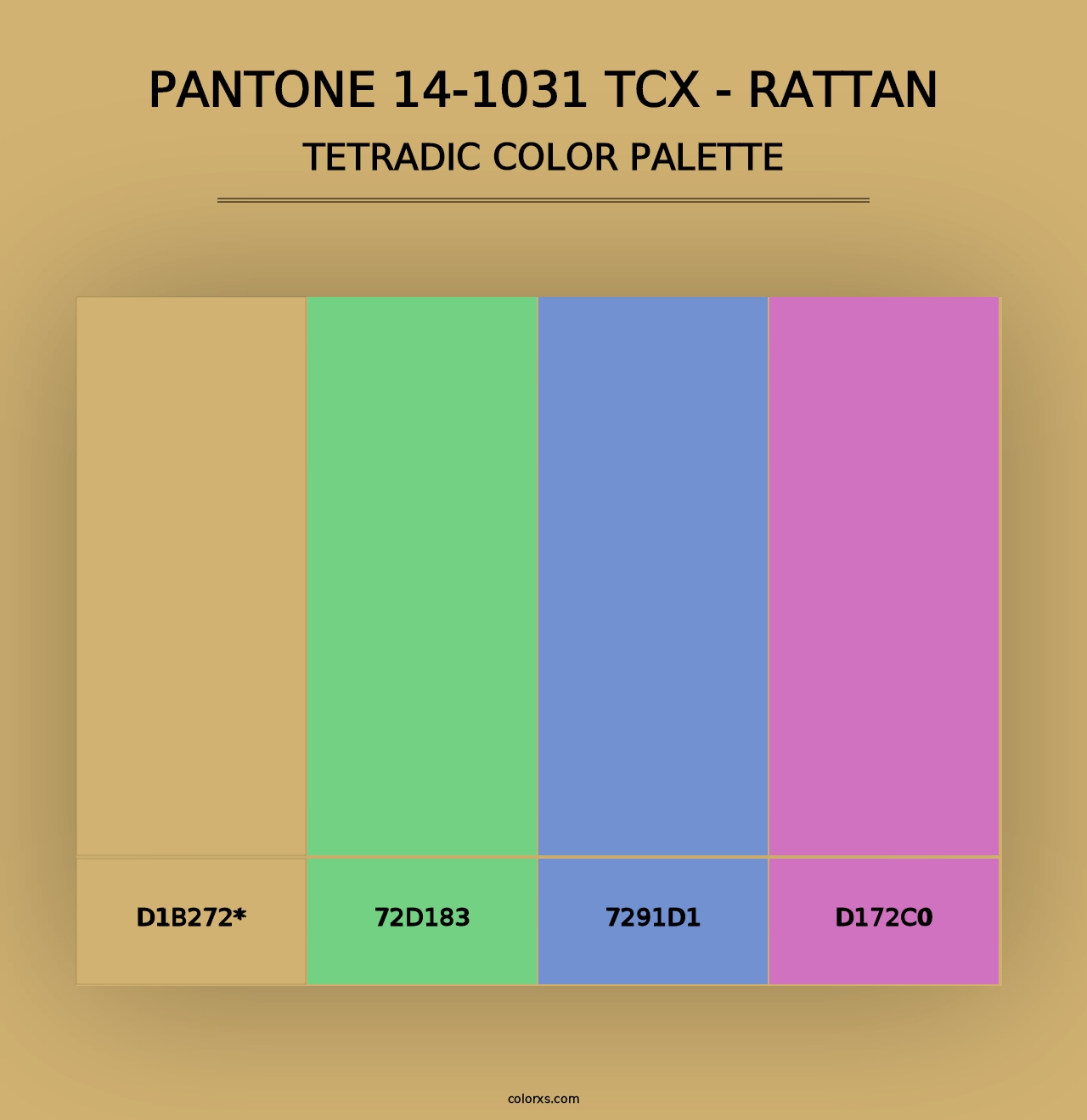 PANTONE 14-1031 TCX - Rattan - Tetradic Color Palette