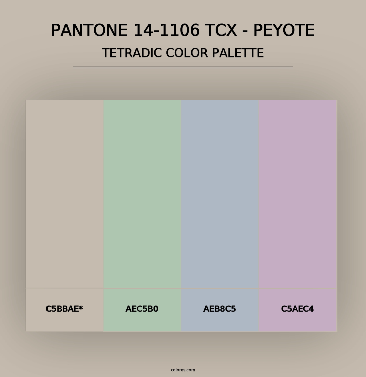 PANTONE 14-1106 TCX - Peyote - Tetradic Color Palette