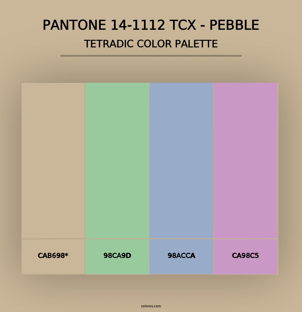 PANTONE 14-1112 TCX - Pebble - Tetradic Color Palette