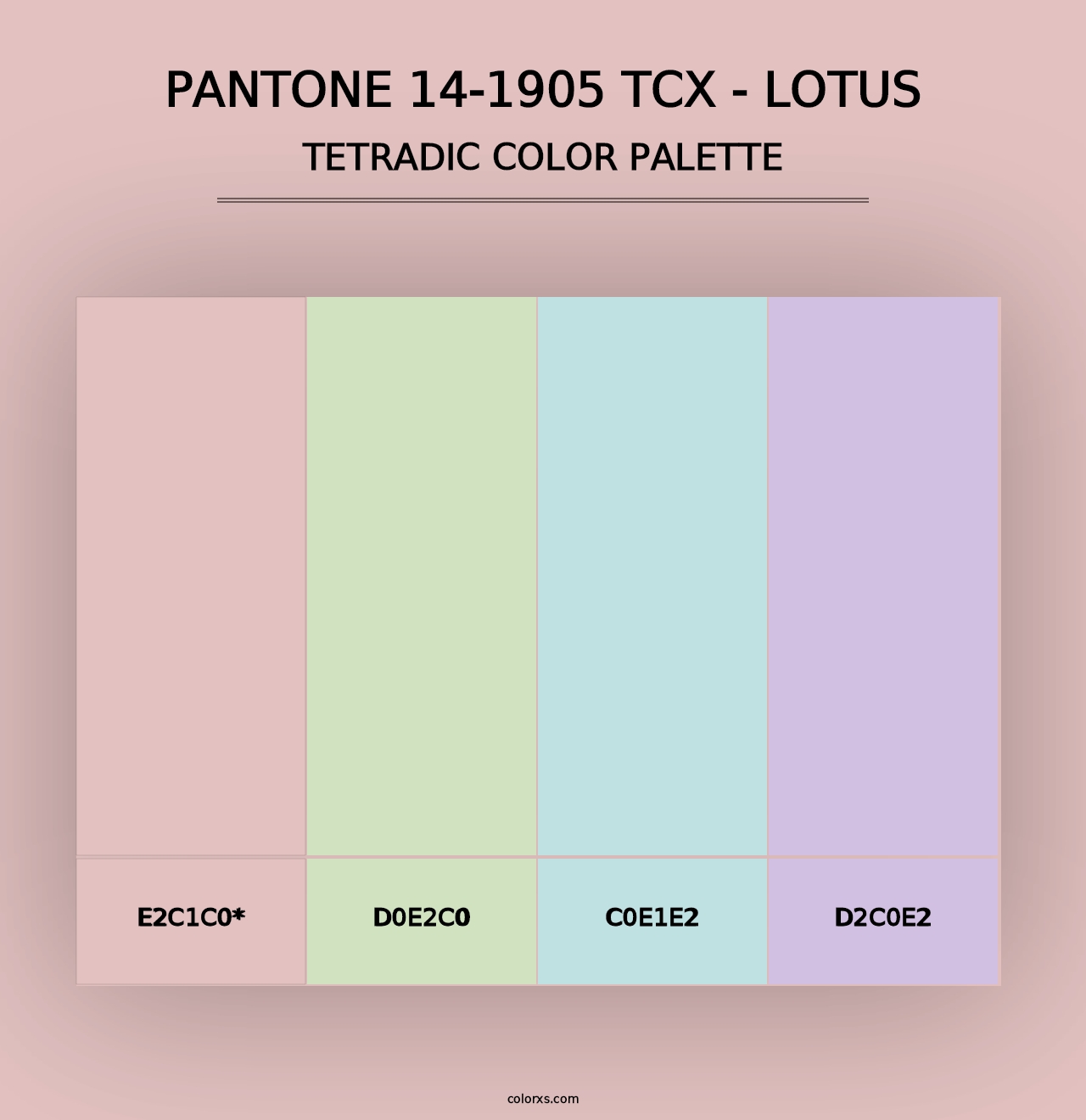 PANTONE 14-1905 TCX - Lotus - Tetradic Color Palette