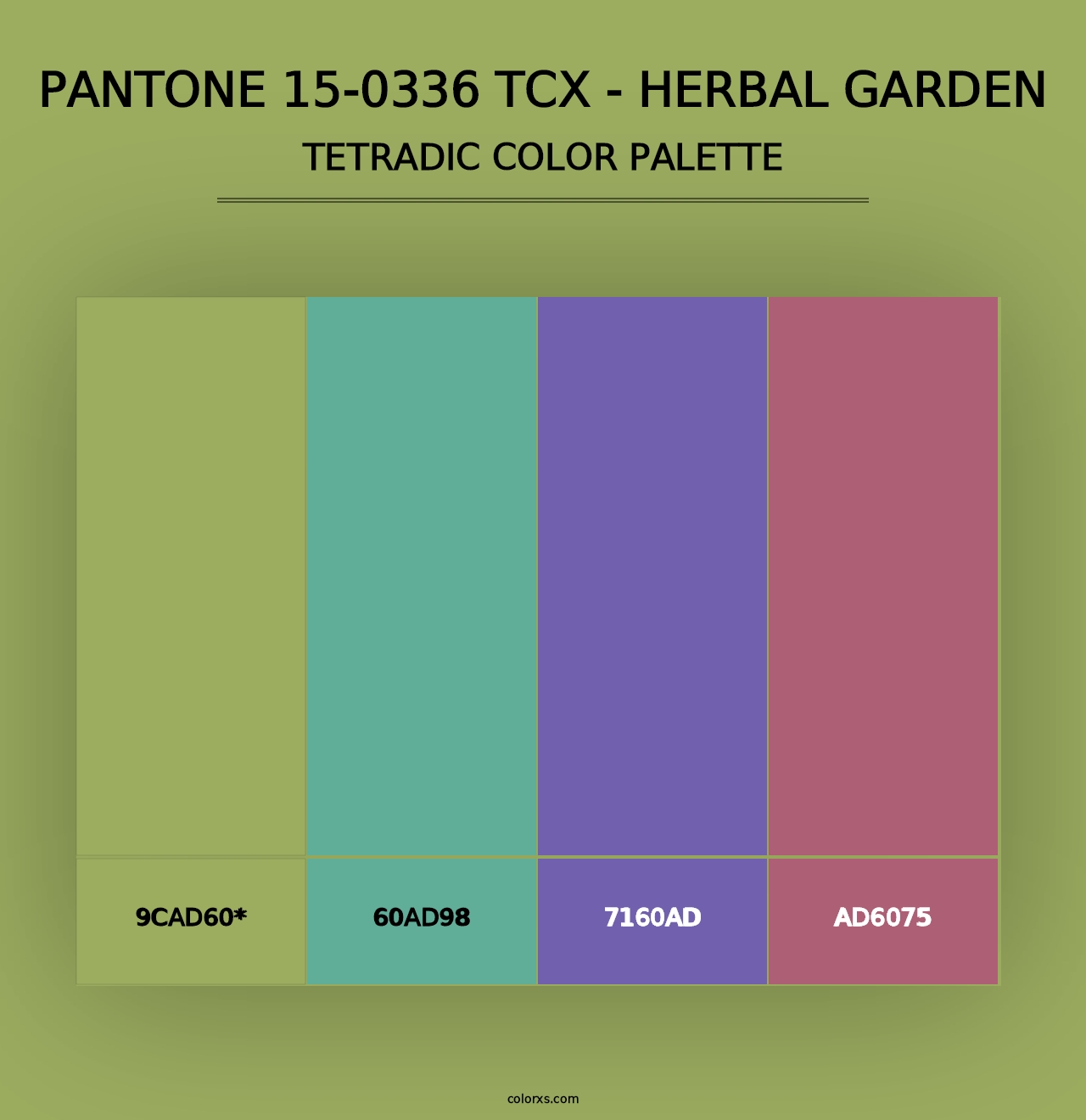 PANTONE 15-0336 TCX - Herbal Garden - Tetradic Color Palette