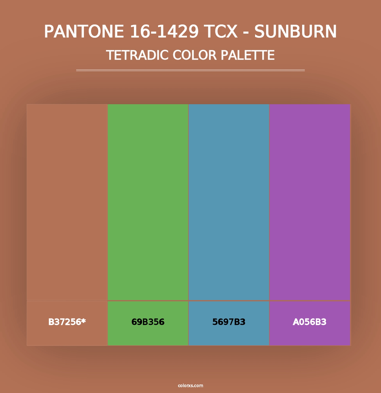 PANTONE 16-1429 TCX - Sunburn - Tetradic Color Palette