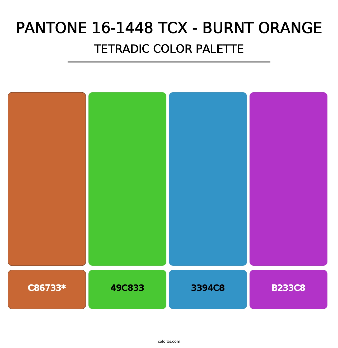 PANTONE 16-1448 TCX - Burnt Orange - Tetradic Color Palette