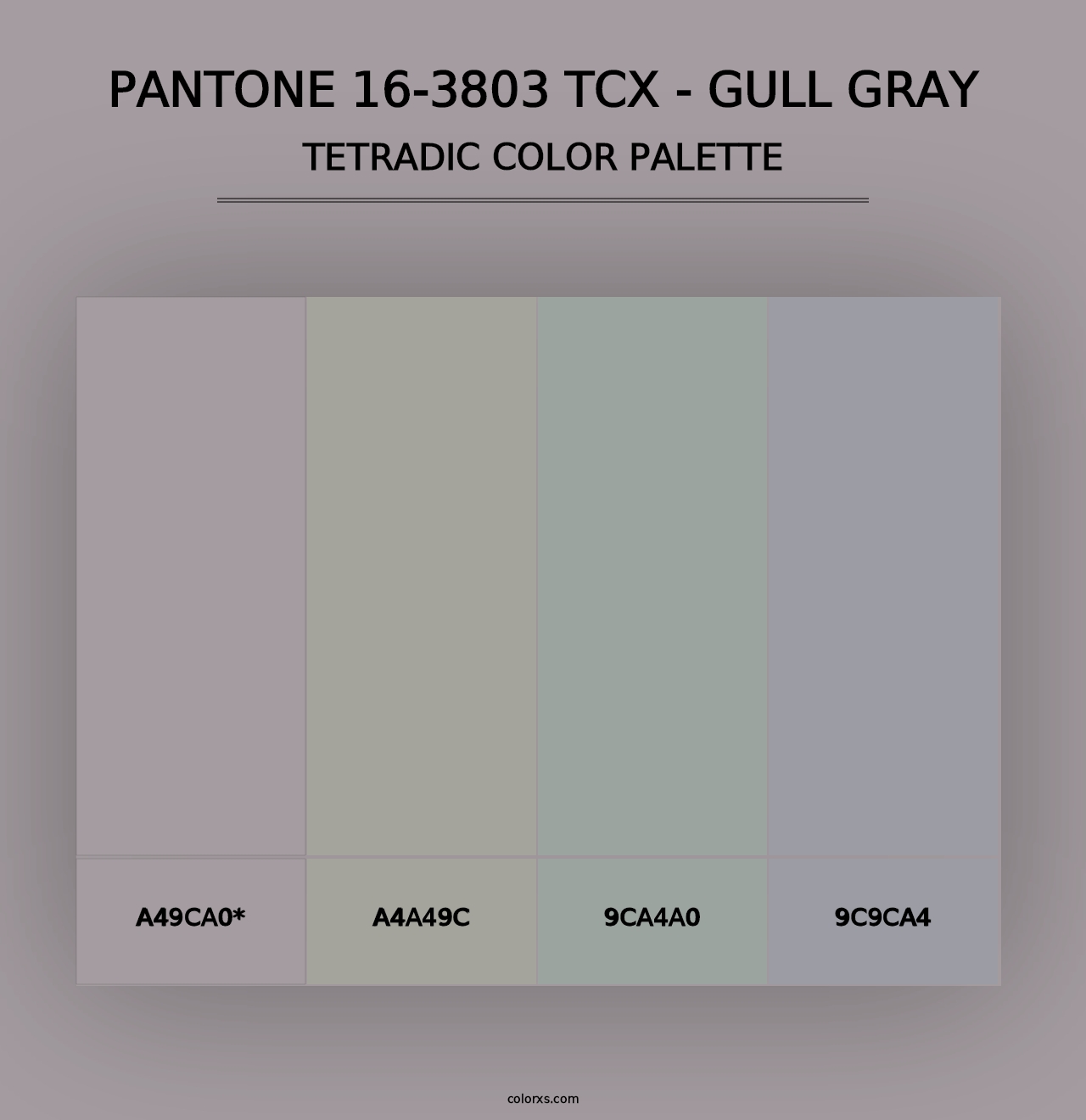 PANTONE 16-3803 TCX - Gull Gray - Tetradic Color Palette