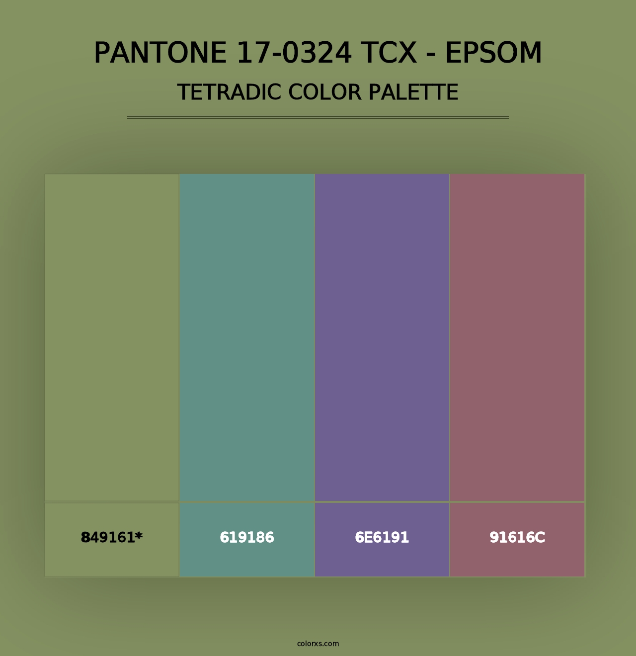 PANTONE 17-0324 TCX - Epsom - Tetradic Color Palette