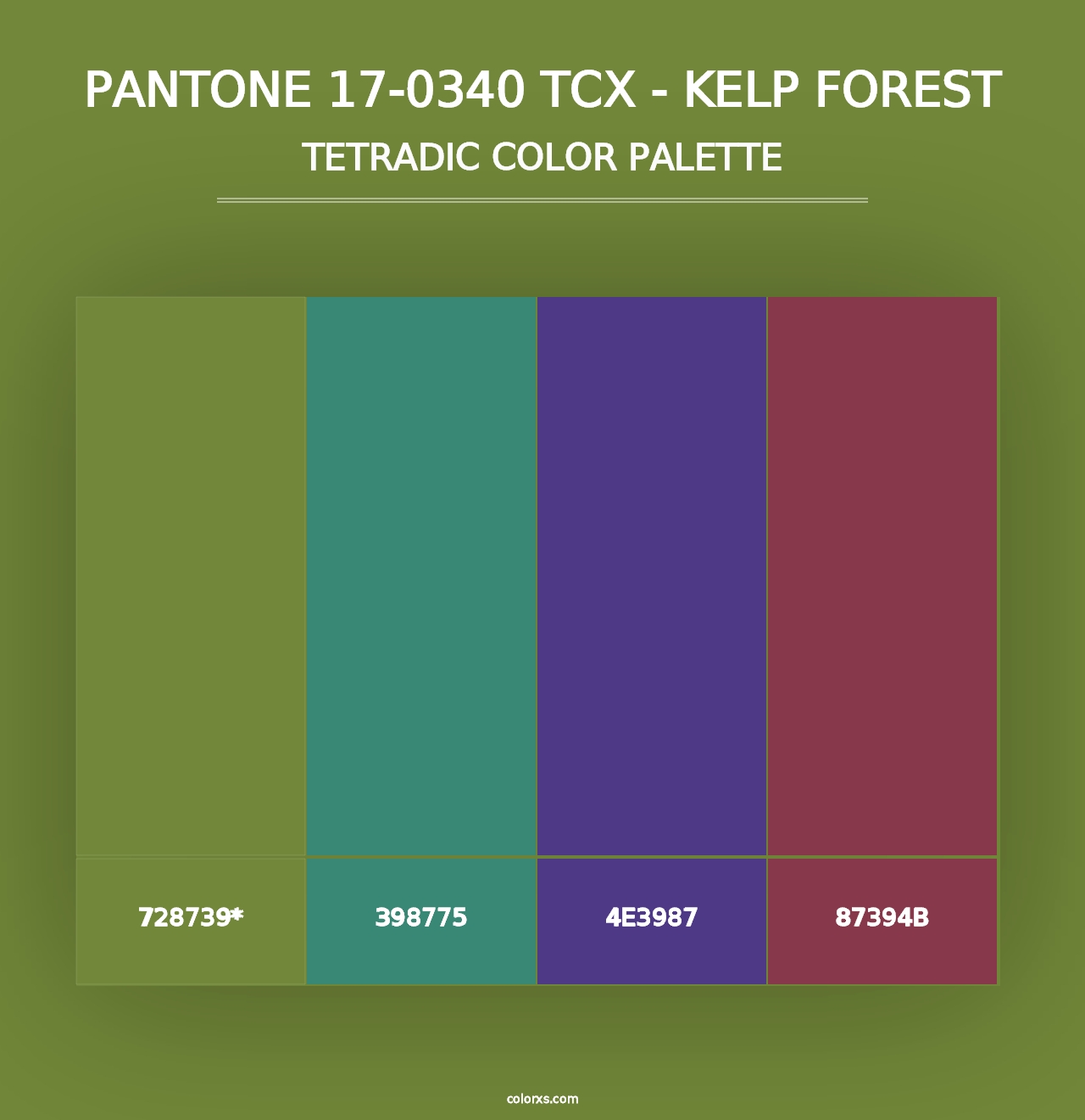 PANTONE 17-0340 TCX - Kelp Forest - Tetradic Color Palette