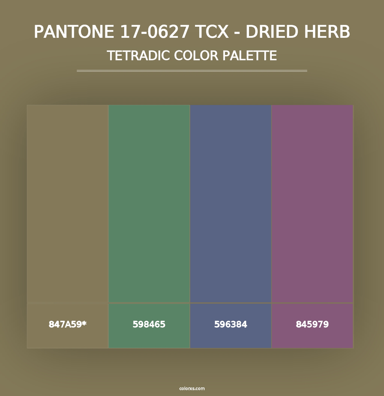 PANTONE 17-0627 TCX - Dried Herb - Tetradic Color Palette