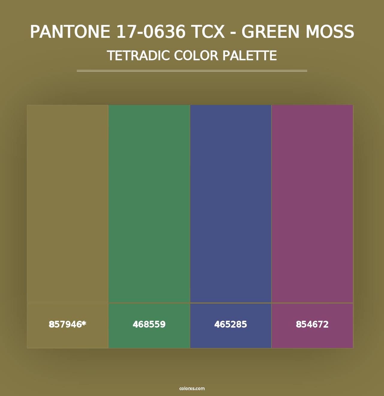 PANTONE 17-0636 TCX - Green Moss - Tetradic Color Palette