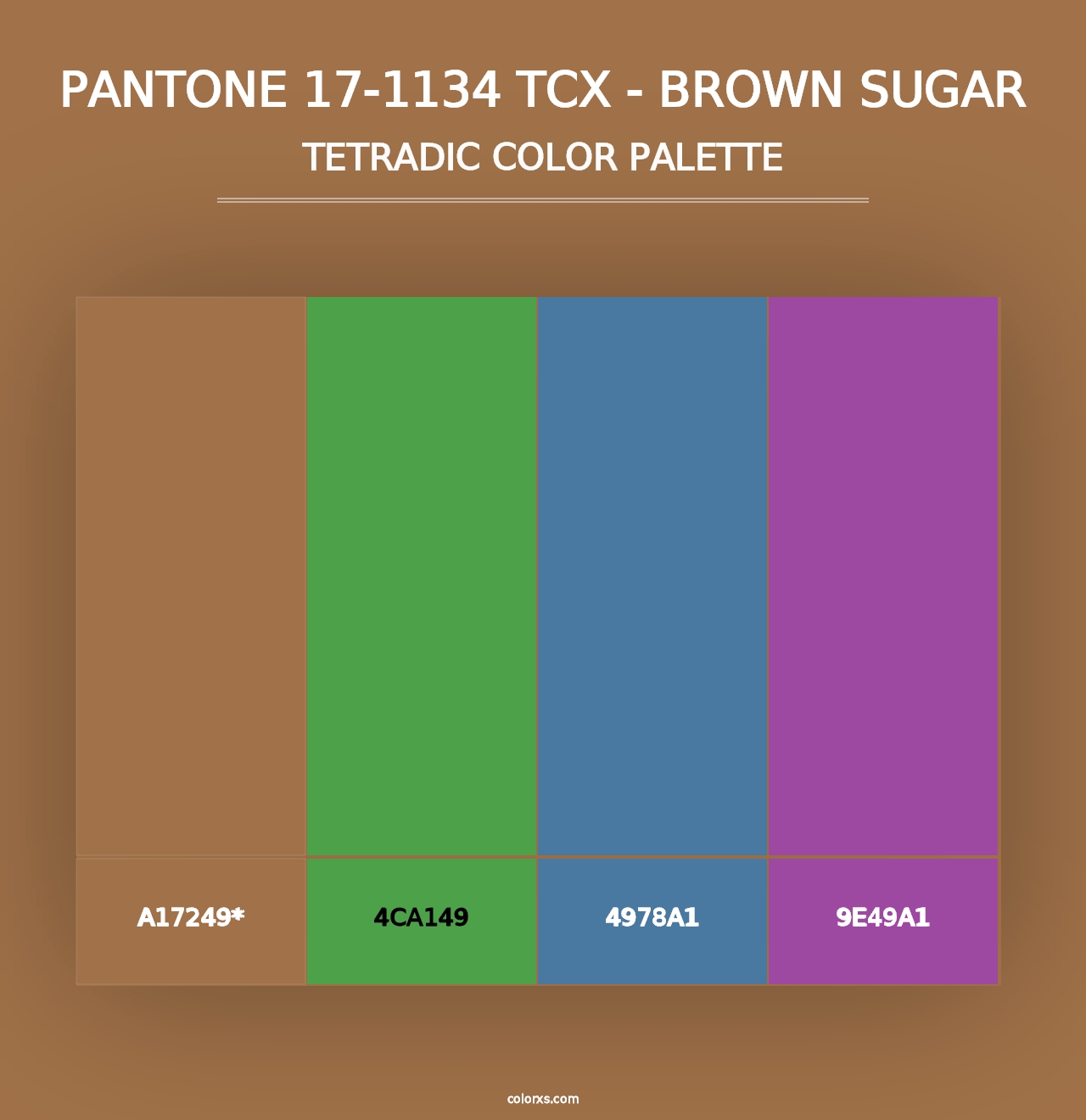 PANTONE 17-1134 TCX - Brown Sugar - Tetradic Color Palette