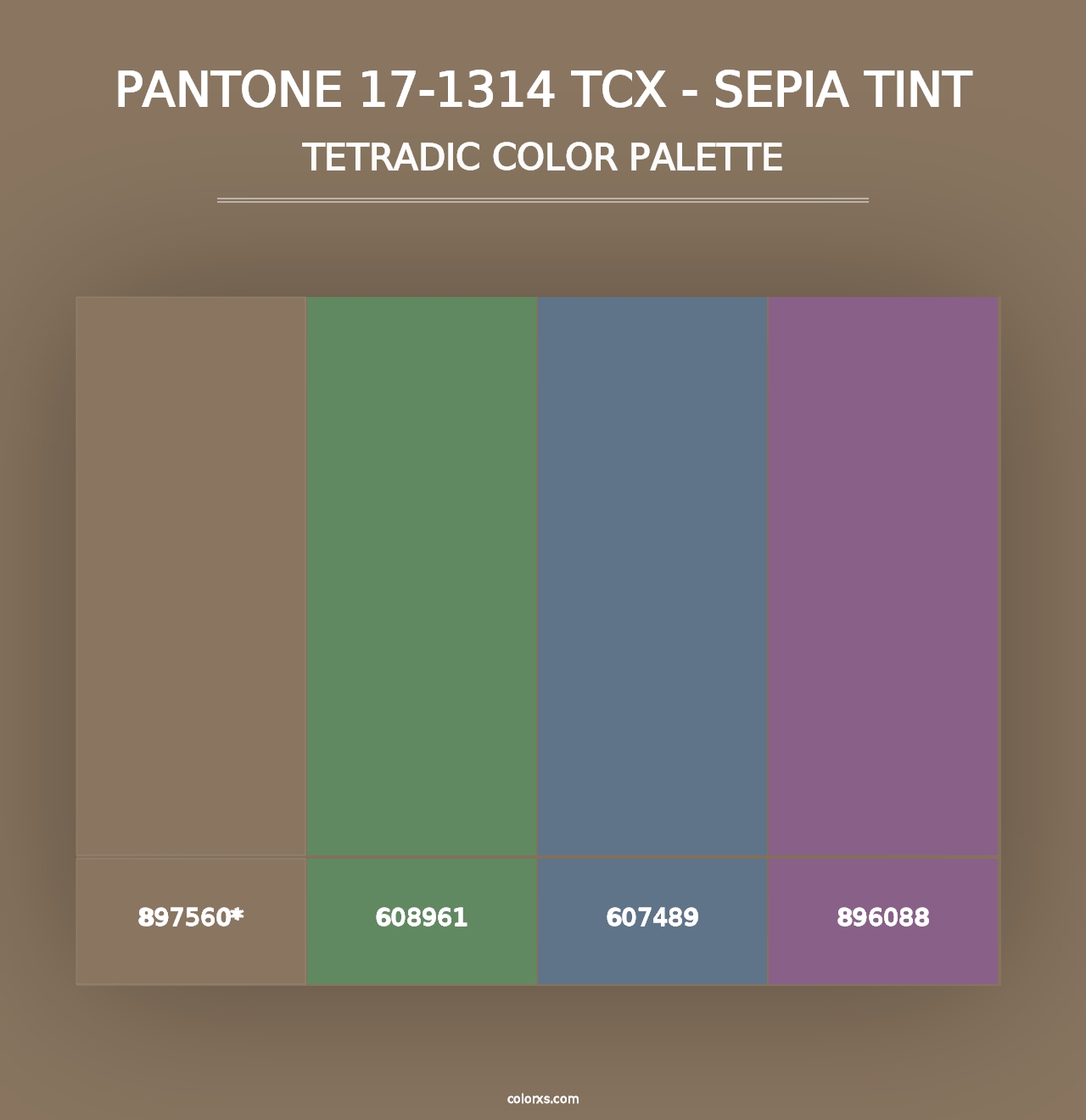 PANTONE 17-1314 TCX - Sepia Tint - Tetradic Color Palette