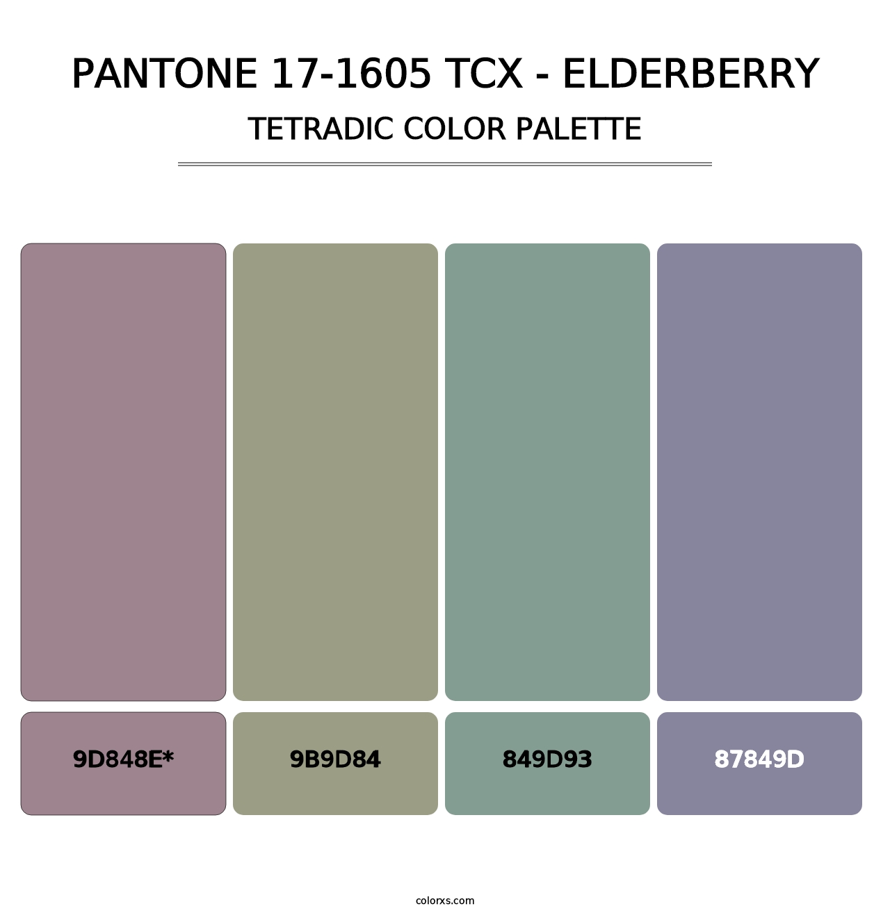 PANTONE 17-1605 TCX - Elderberry - Tetradic Color Palette