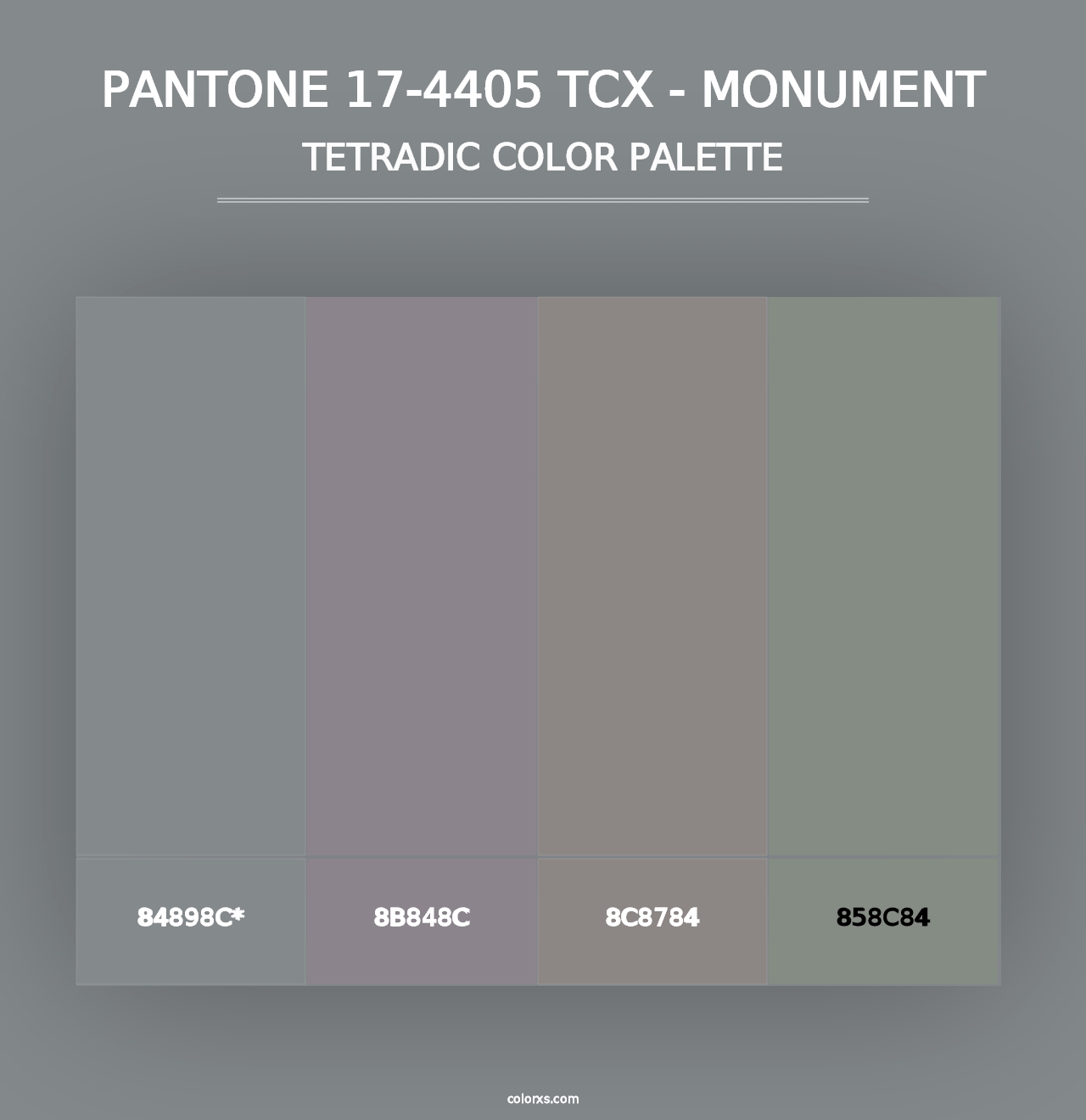 PANTONE 17-4405 TCX - Monument - Tetradic Color Palette