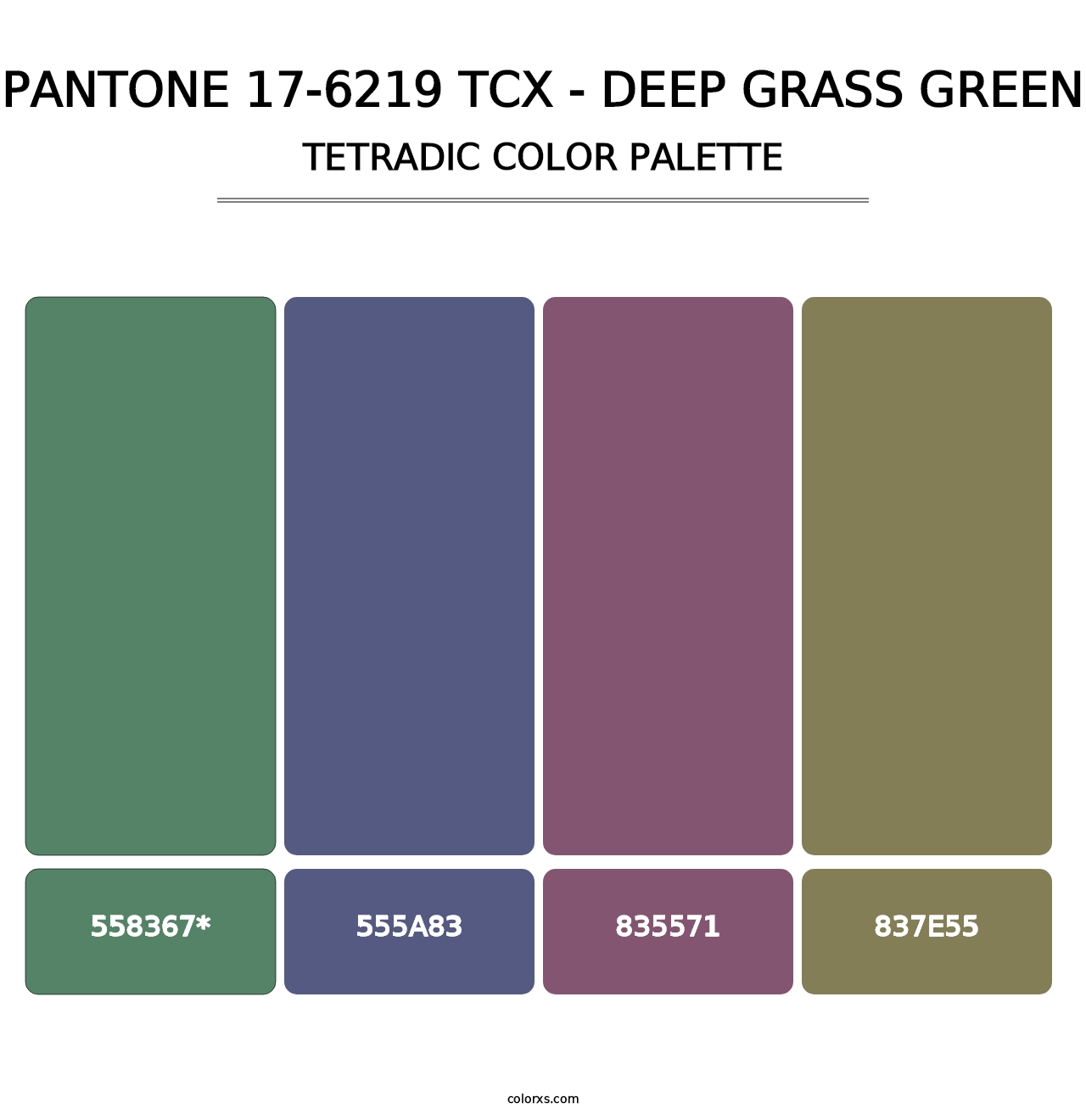 PANTONE 17-6219 TCX - Deep Grass Green - Tetradic Color Palette